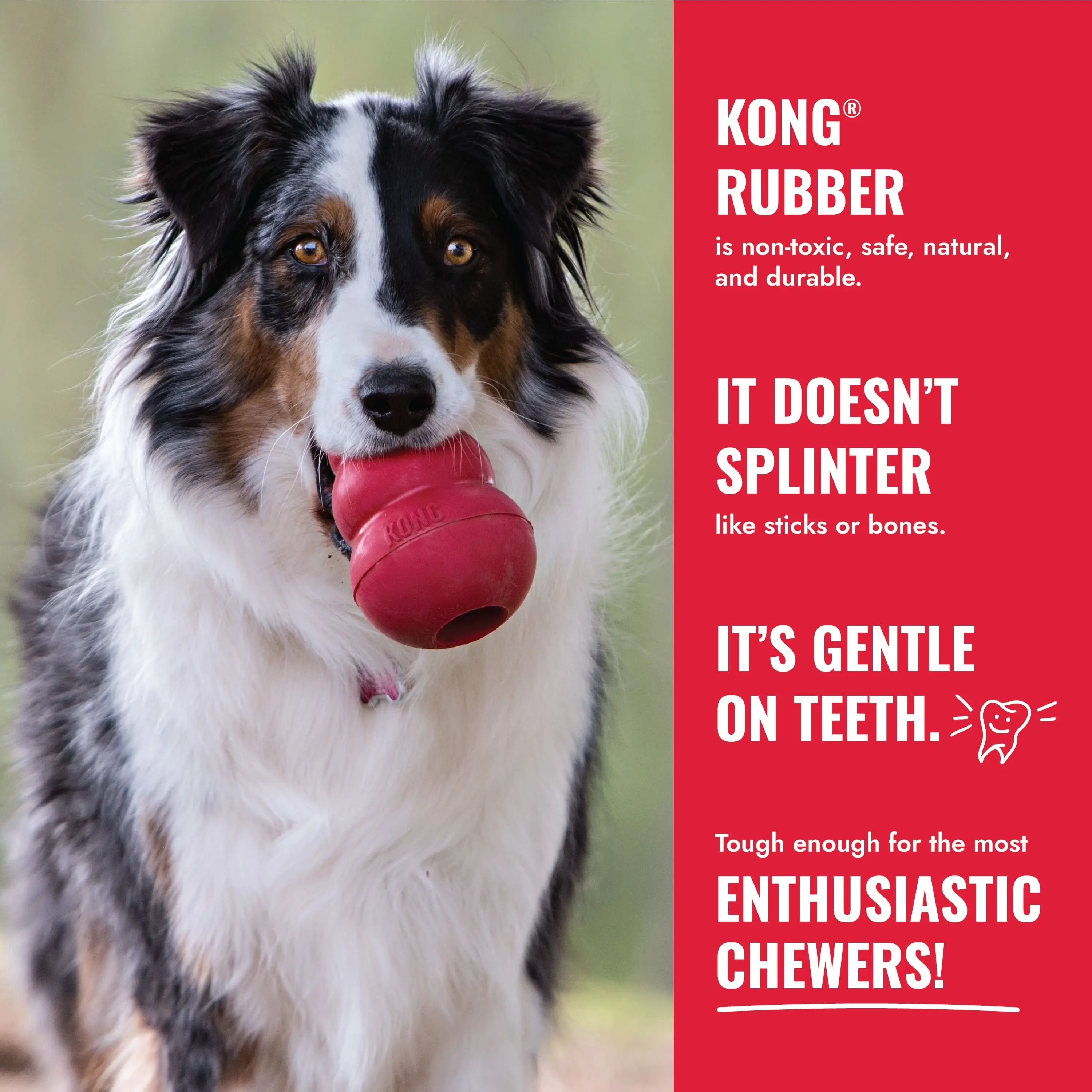 ® Classic Stuffable Dog Chew Toy, Small - Image 9