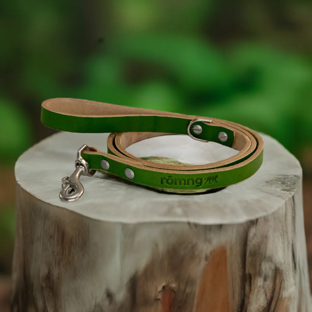handmade leather dog leash - Image 2