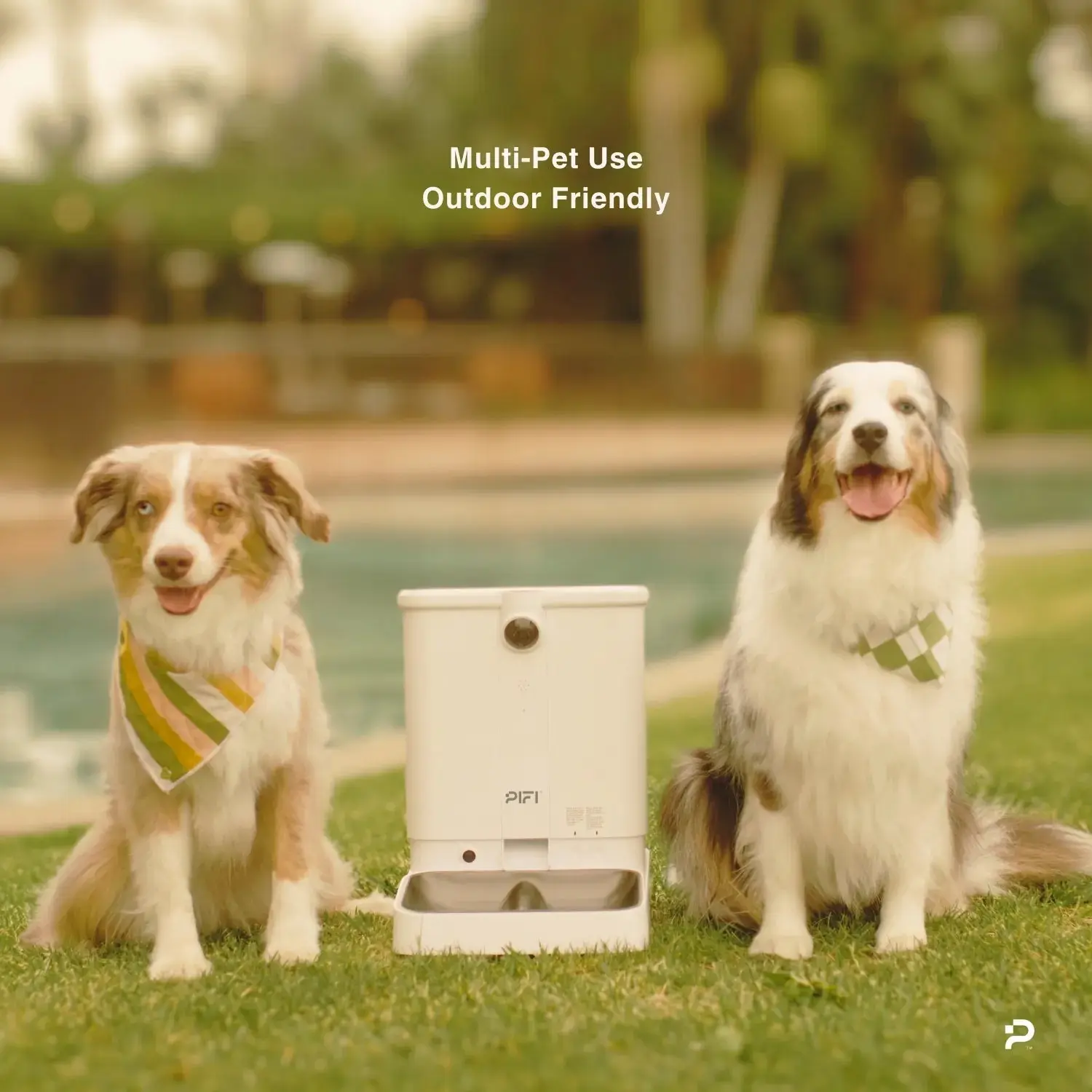 All-in-One Smart Pet Feeder - Image 3