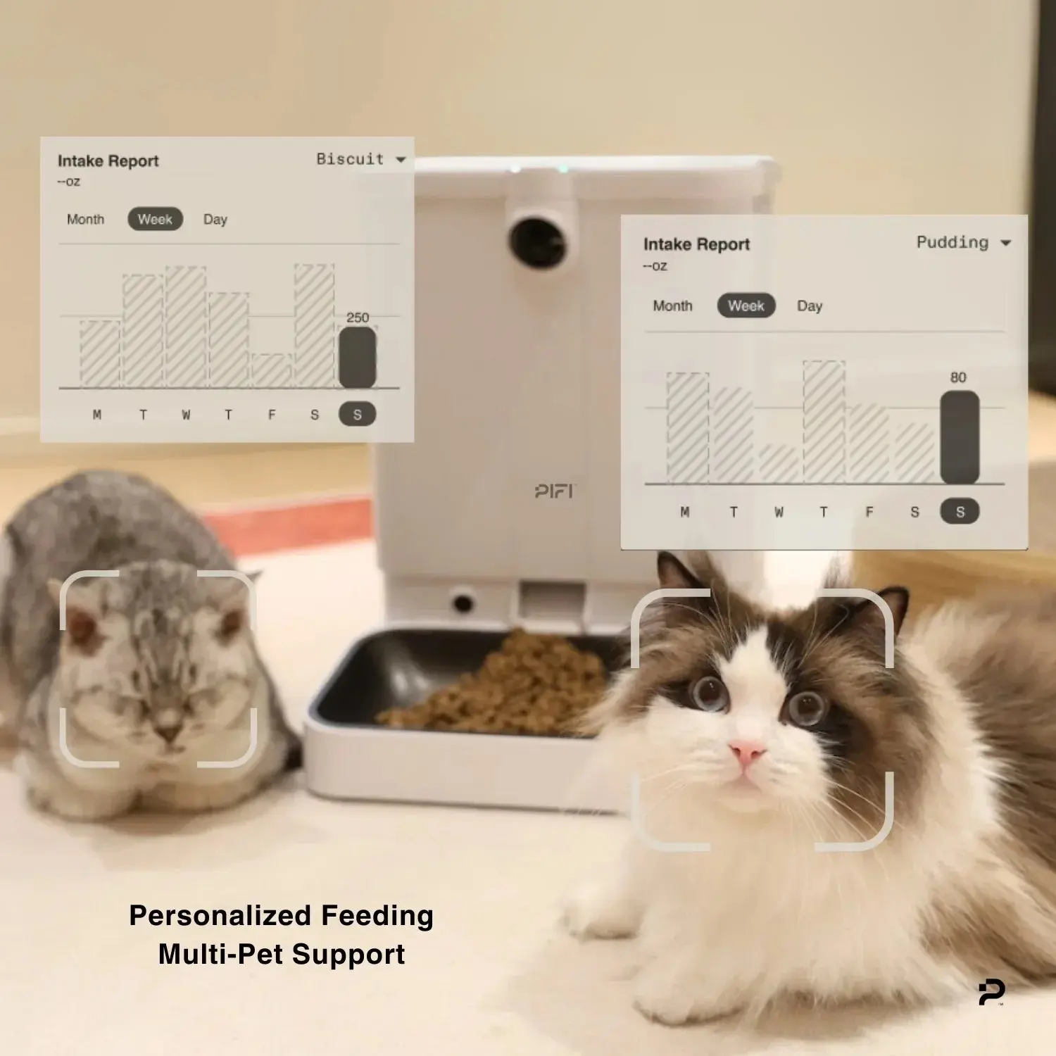 All-in-One Smart Pet Feeder - Image 5