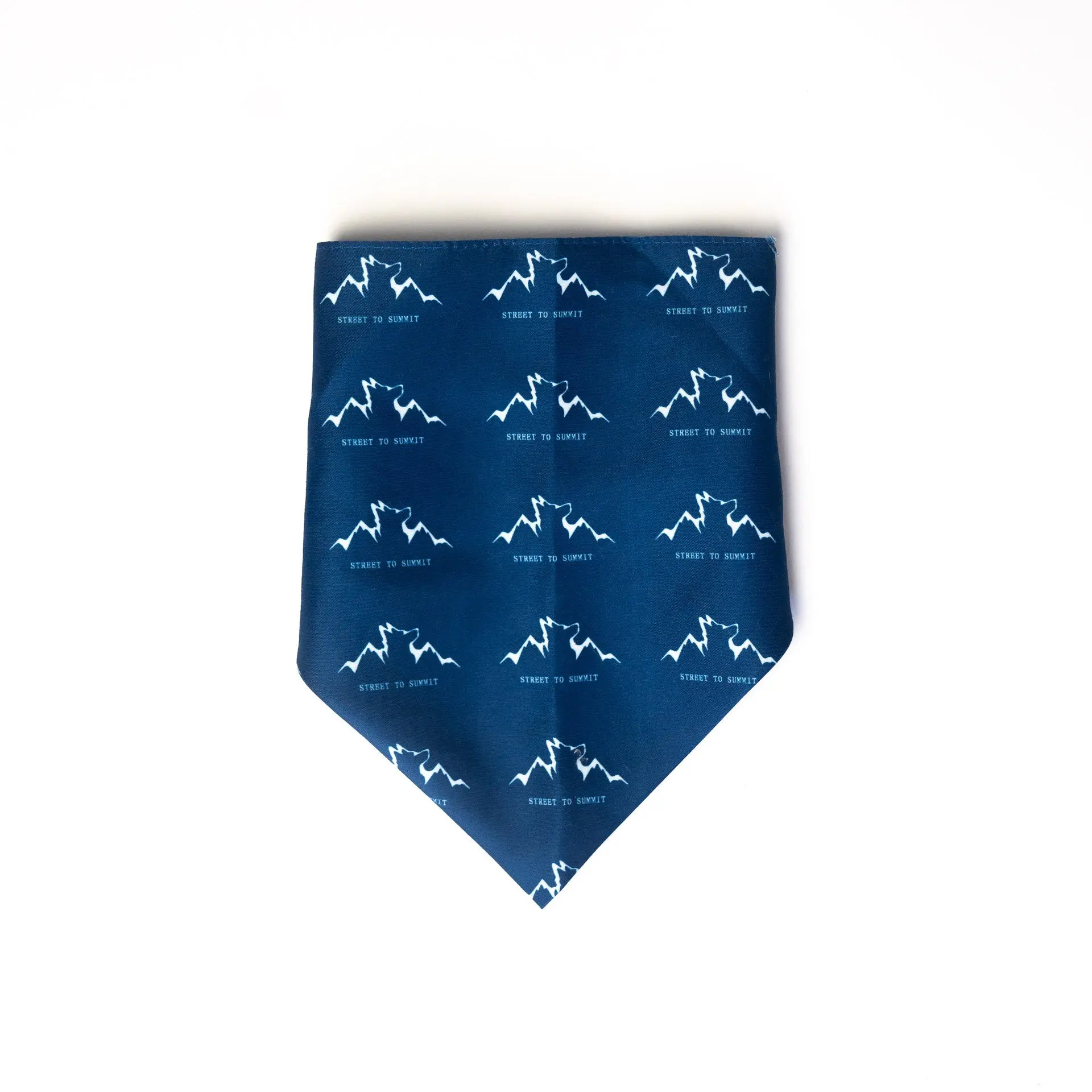 Alpha Pak Logo Bandana - Image 3
