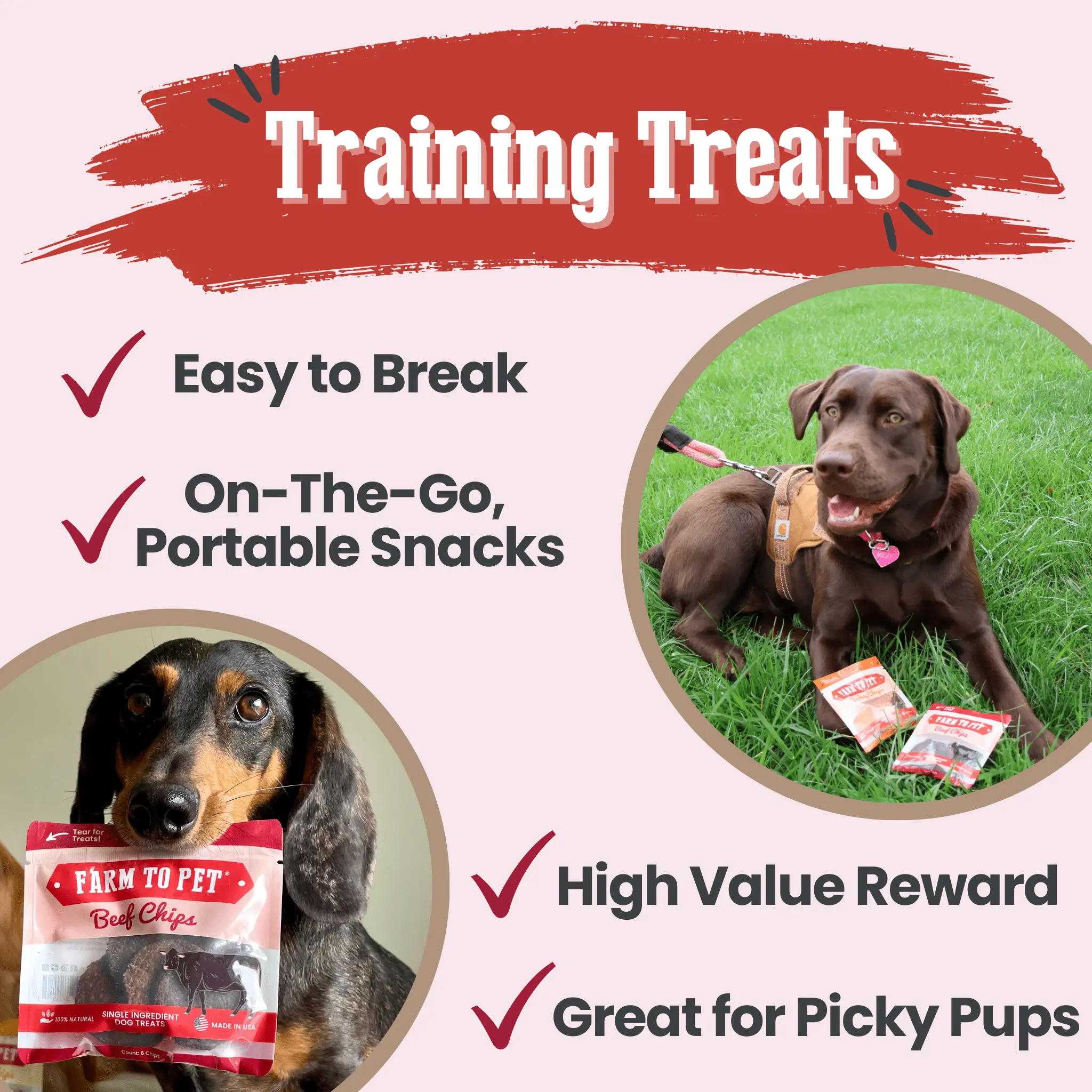 Beef Chips Snack Pack Bundles | Dog Treats for Training & Travel - Image 22