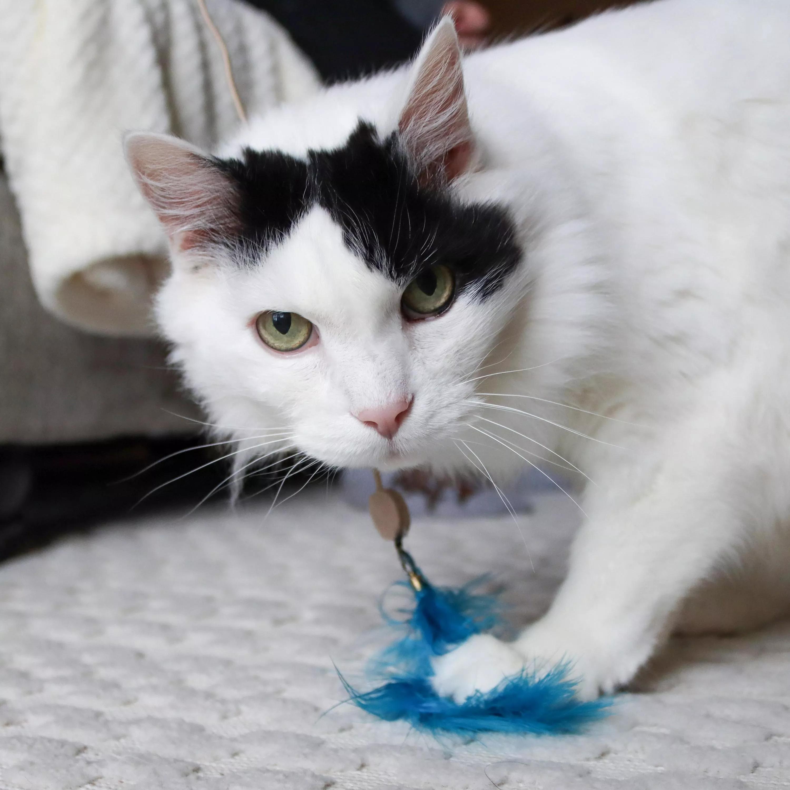 Bergan Turbo Telescoping Wand with LED Pointer Cat Toy - Image 4