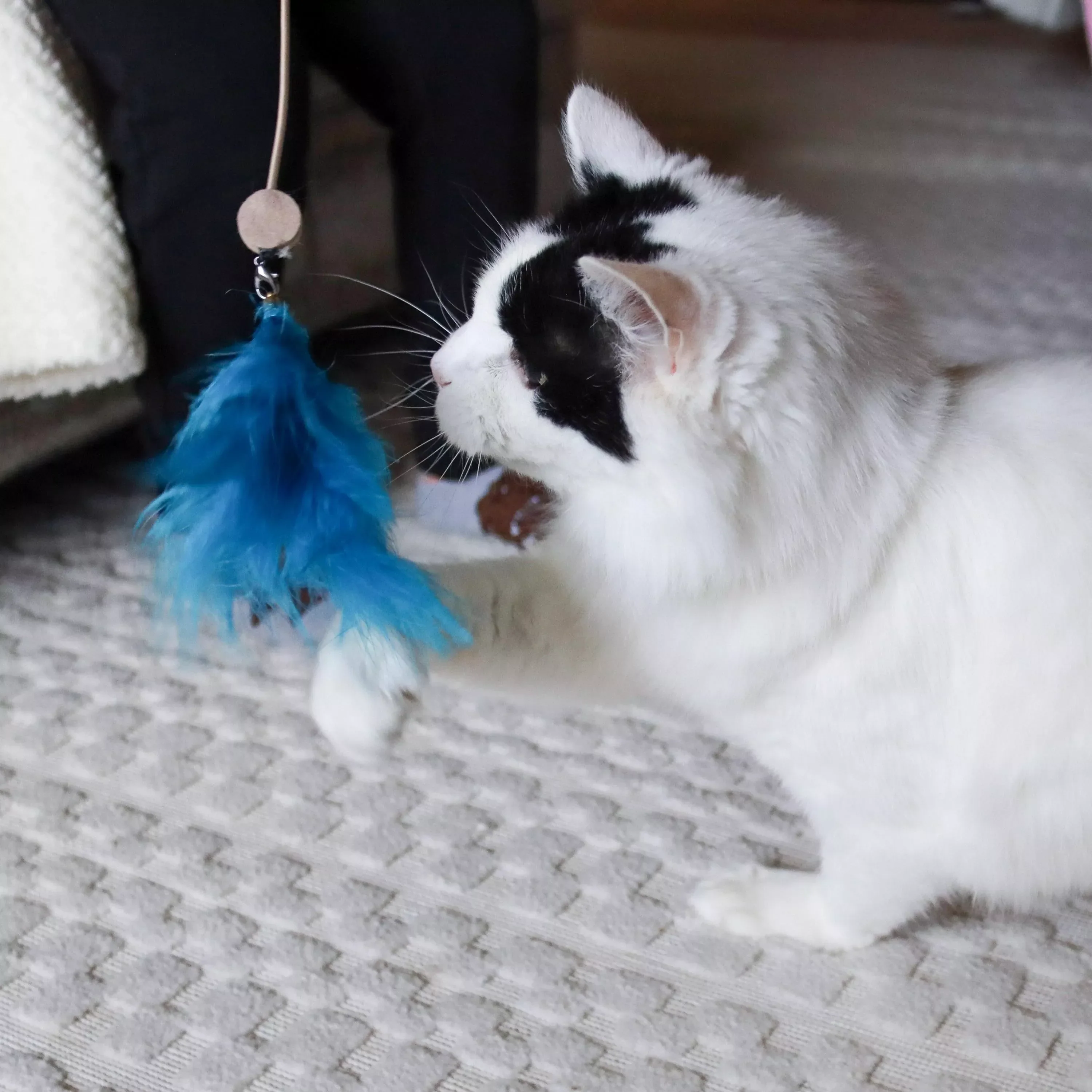 Bergan Turbo Telescoping Wand with LED Pointer Cat Toy - Image 5