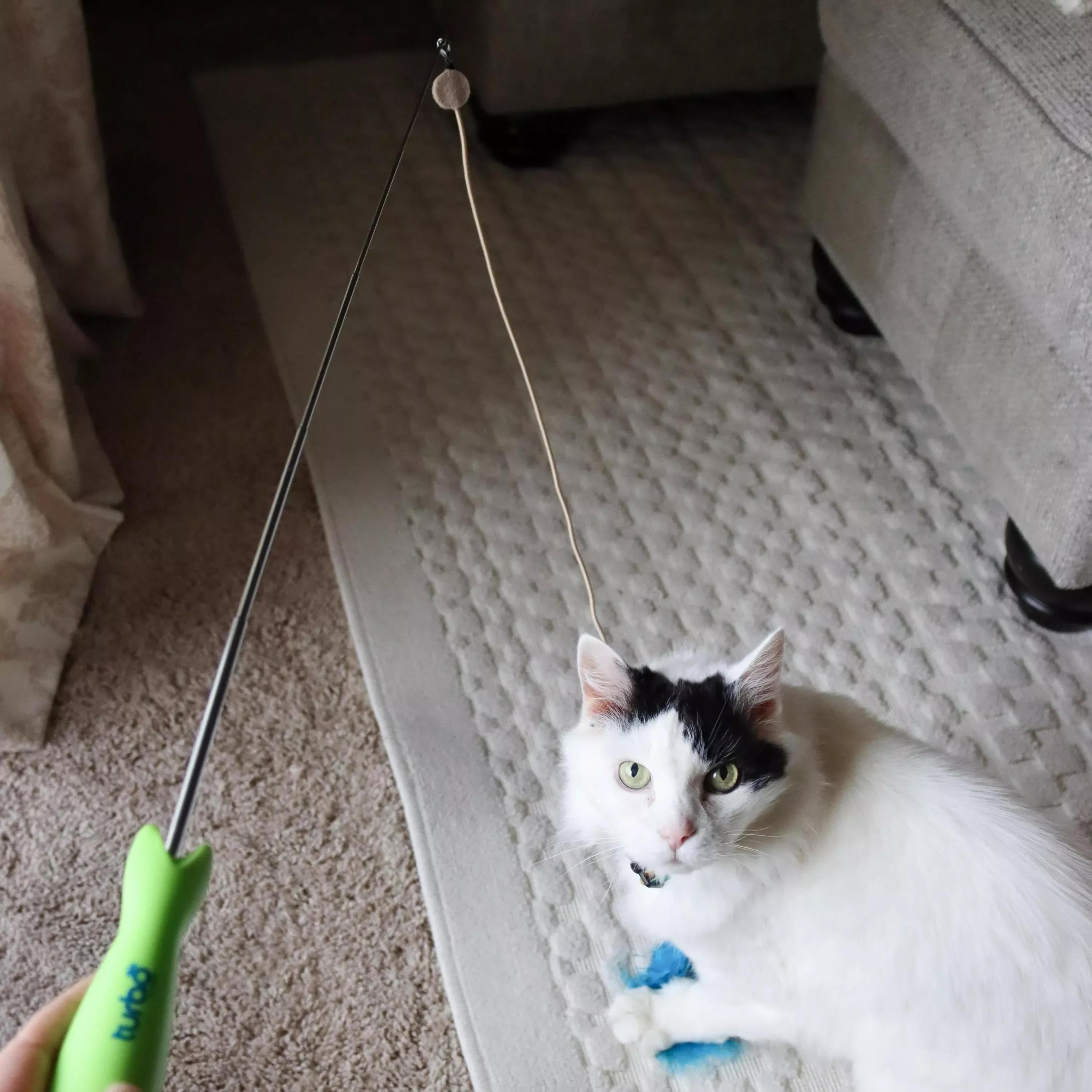 Bergan Turbo Telescoping Wand with LED Pointer Cat Toy - Image 6