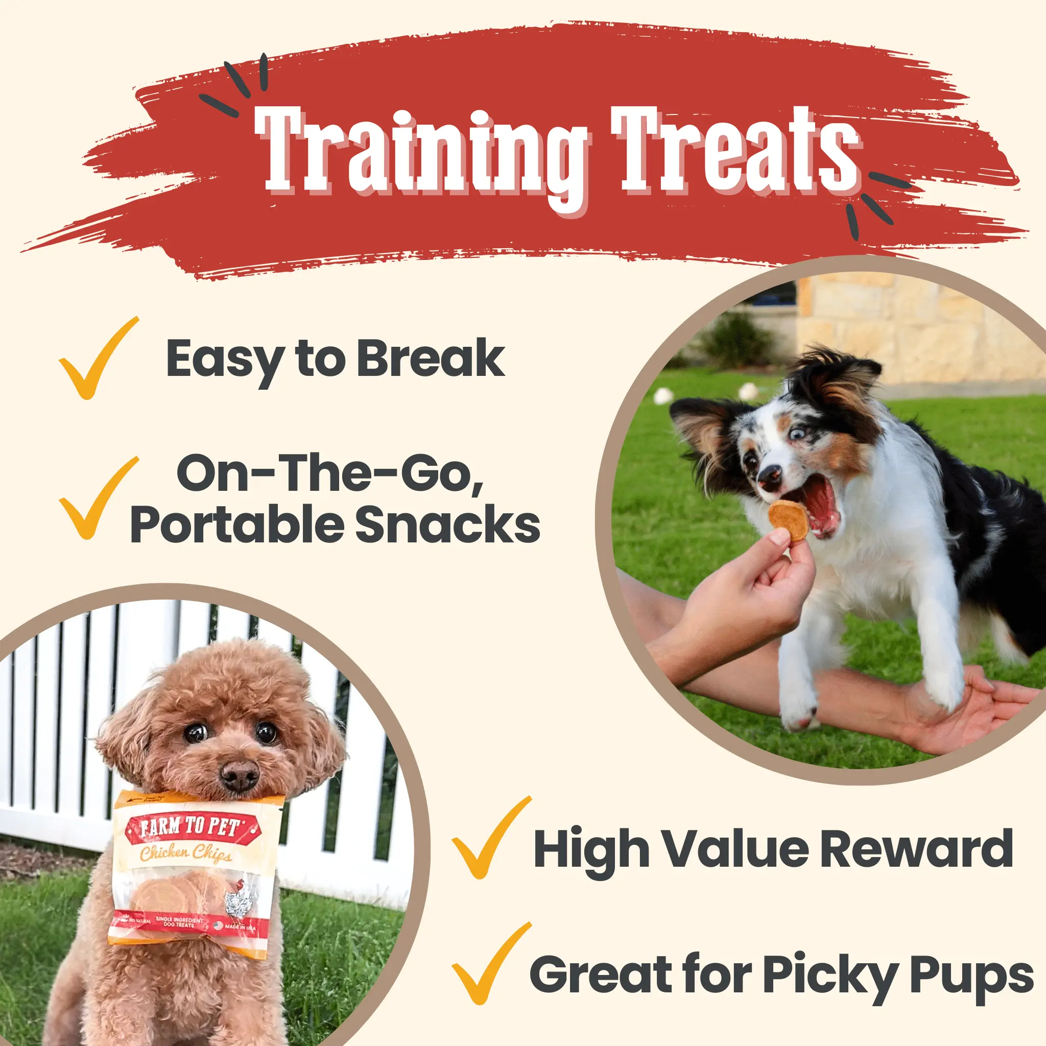 Chicken Chips Snack Pack Bundles | Dog Party Favors & Training Treats - Image 7