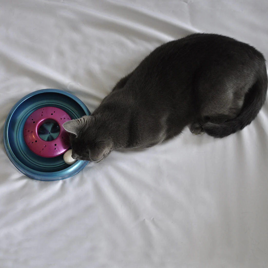 Bergan Cyclone Catnip Cat Toy Aqua, Mulberry, 1ea - Image 7