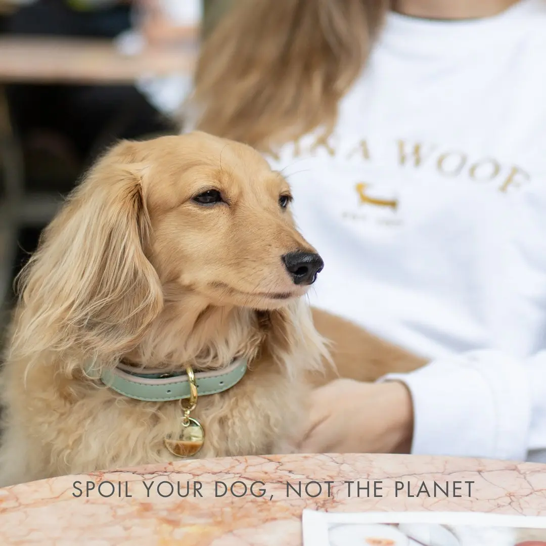 Collar - Vegan Leather - Copenhagen - Image 15