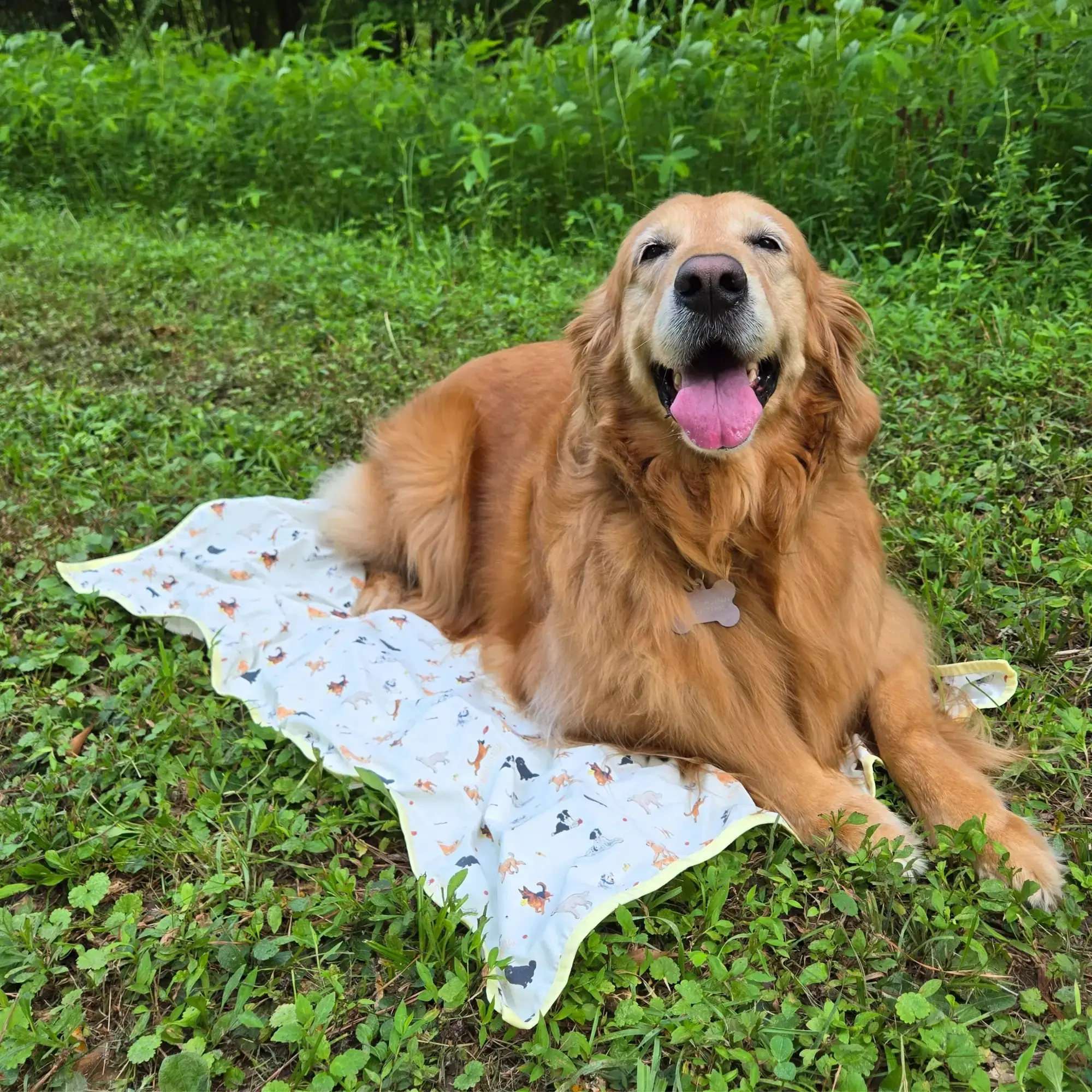 CoolingPals Dog Cooling Sheet - Image 11