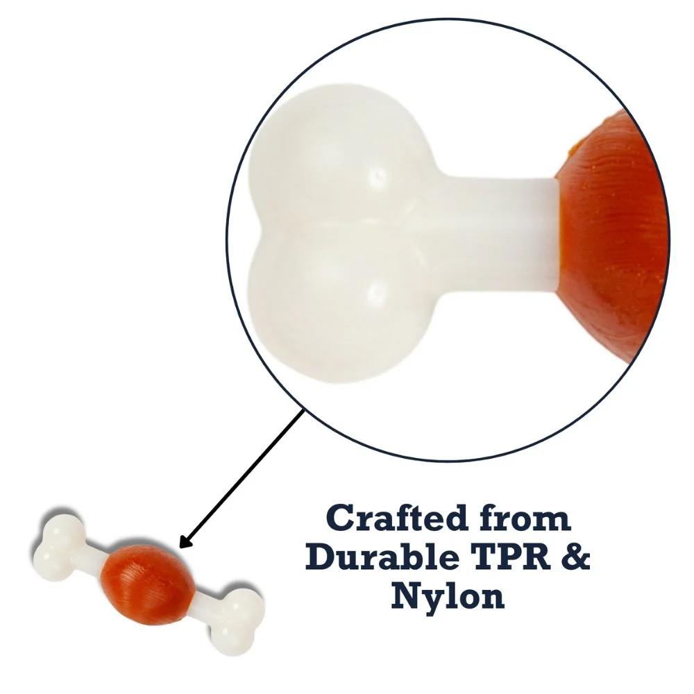Country Living TPR & Nylon Bone Dog Chew Toy - Beef-Flavored, Ideal for Small Dogs - Image 5