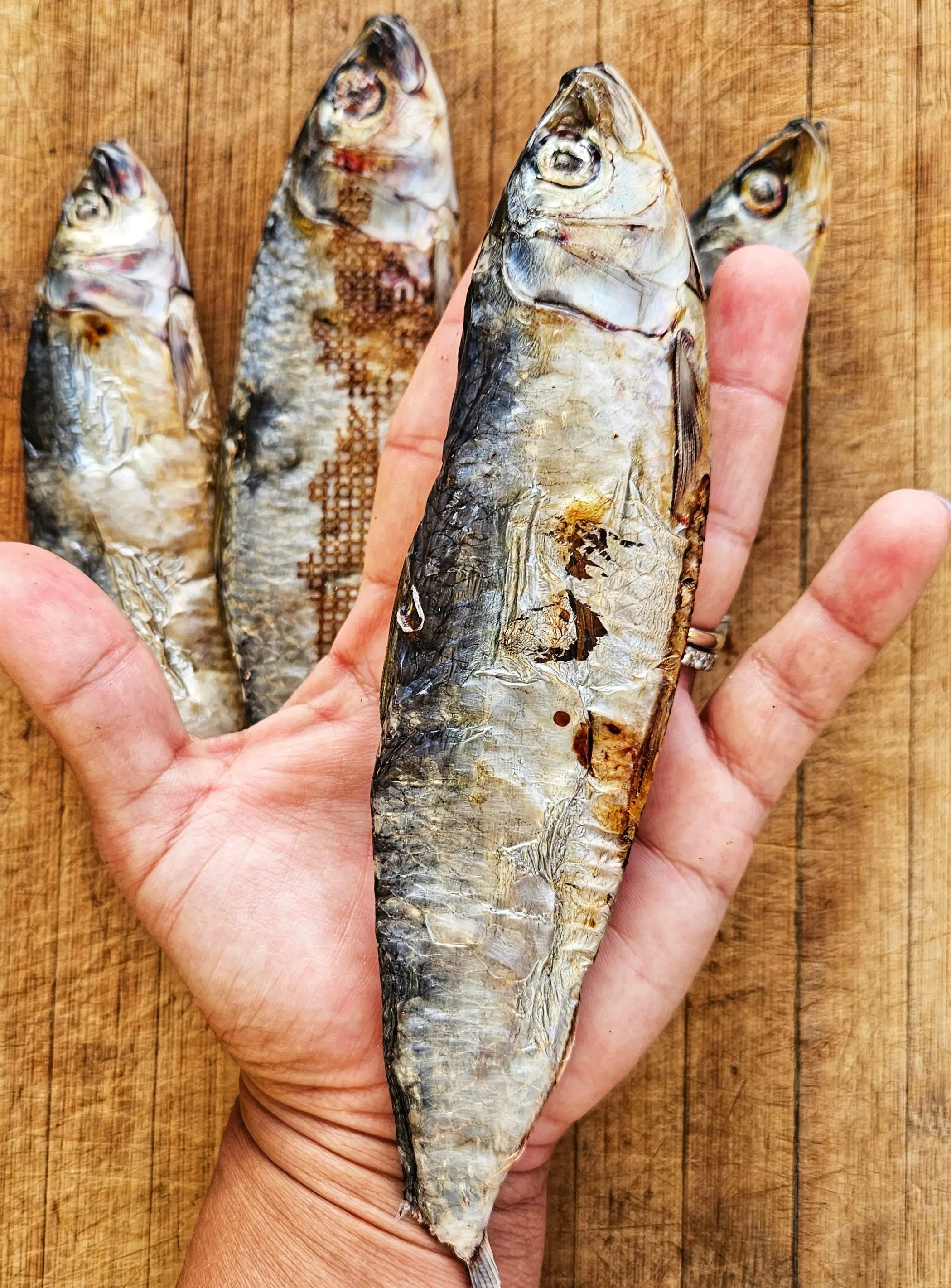 Dehydrated Wild-Caught Sardines for Cats & Dogs — 100% Single Ingredient | Raw Instincts Florida | Qty: 5 Fish - Image 2