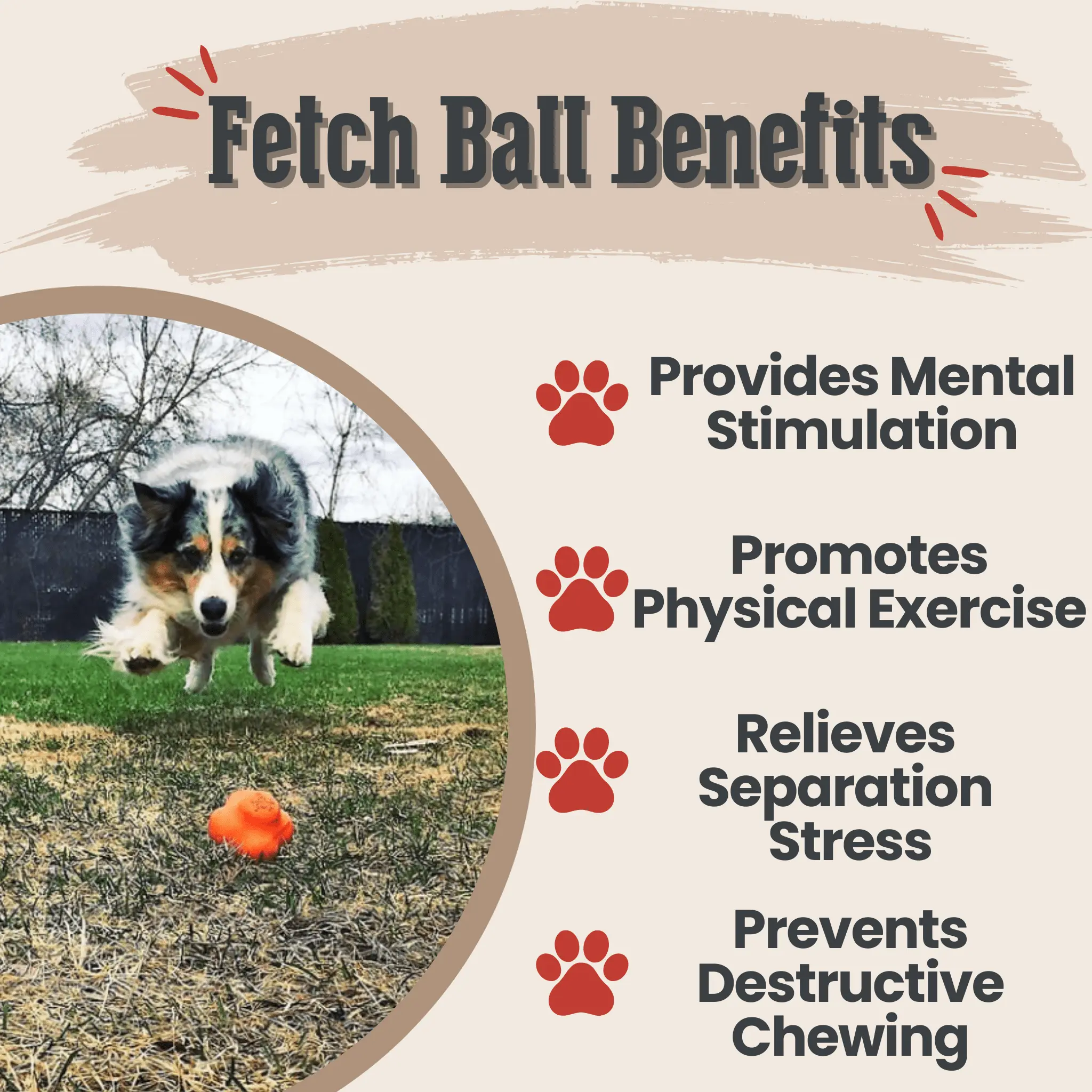 Dog Fetch Balls - Image 15