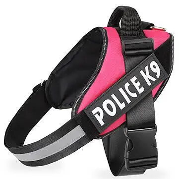 Dog leash - Image 2