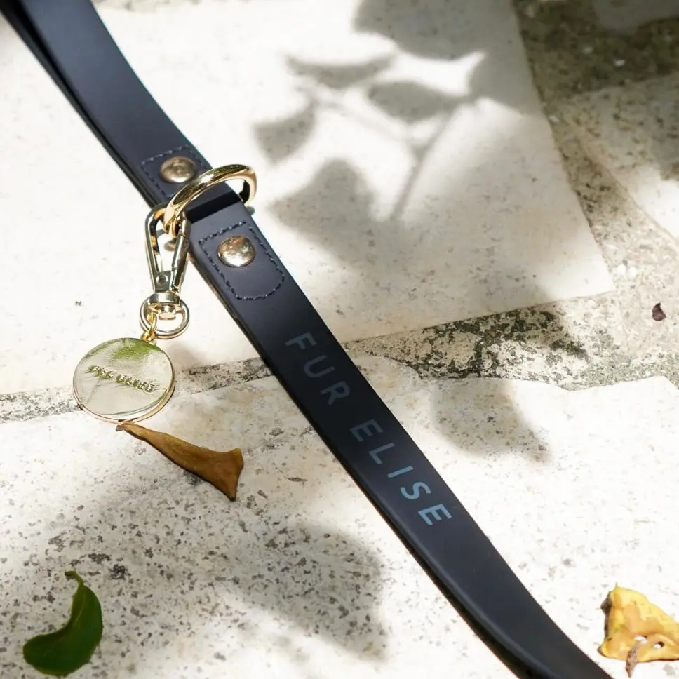 Elise Leash - Noir - Image 4