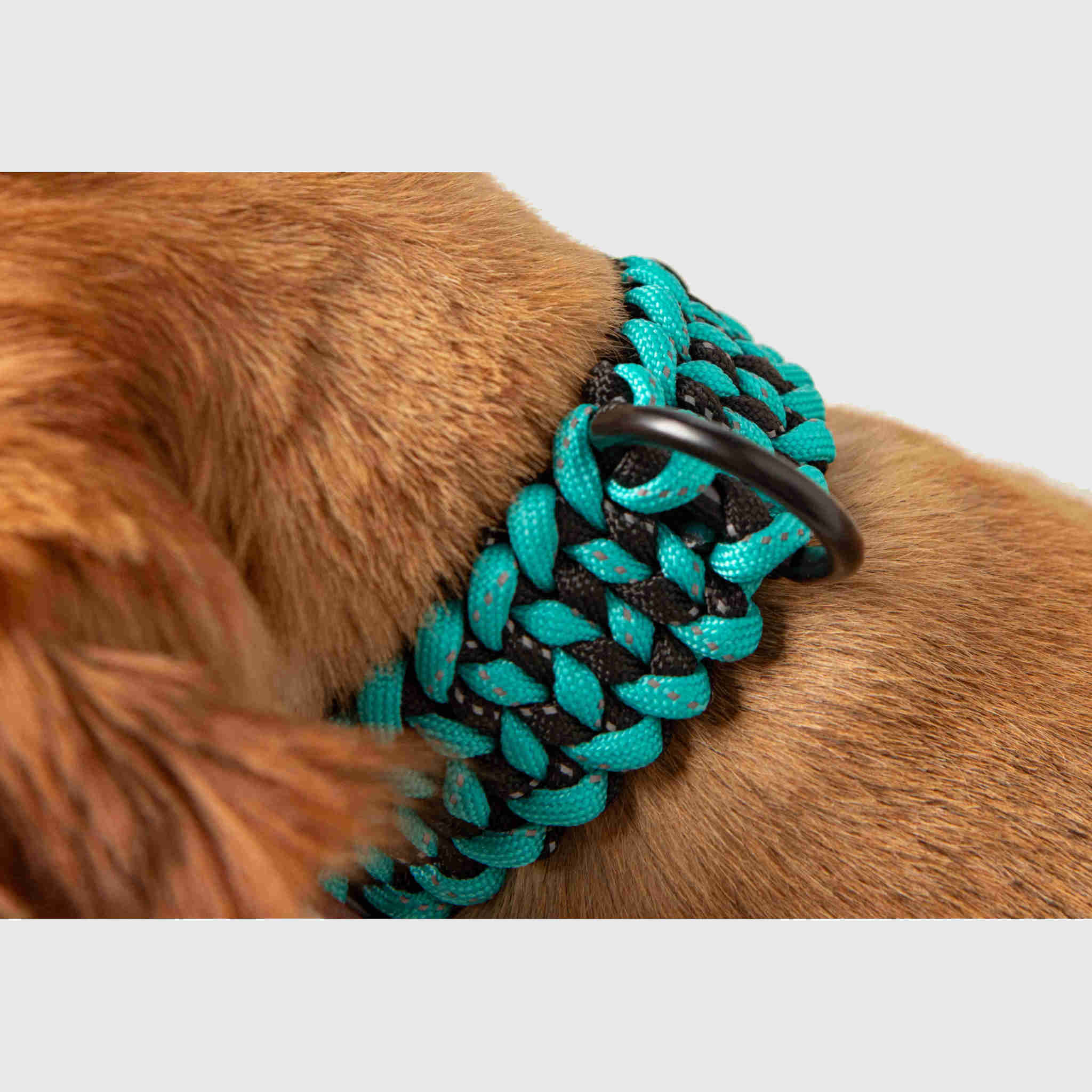 Forever Collar - Image 7