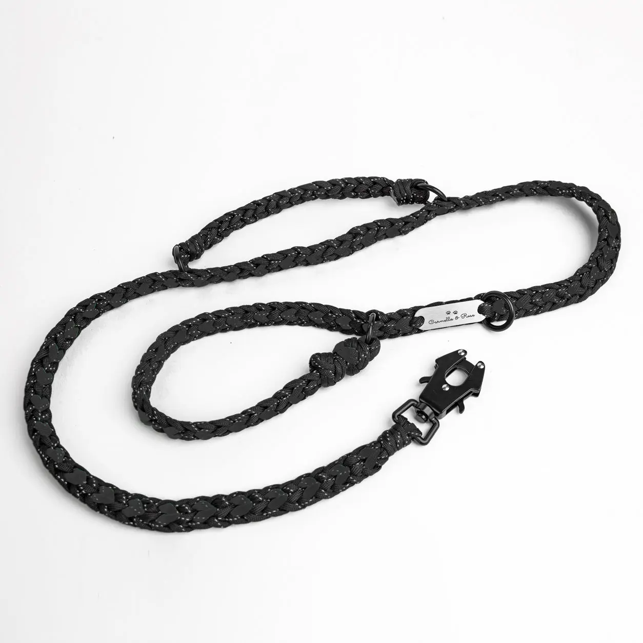 Forever Leash - Image 15
