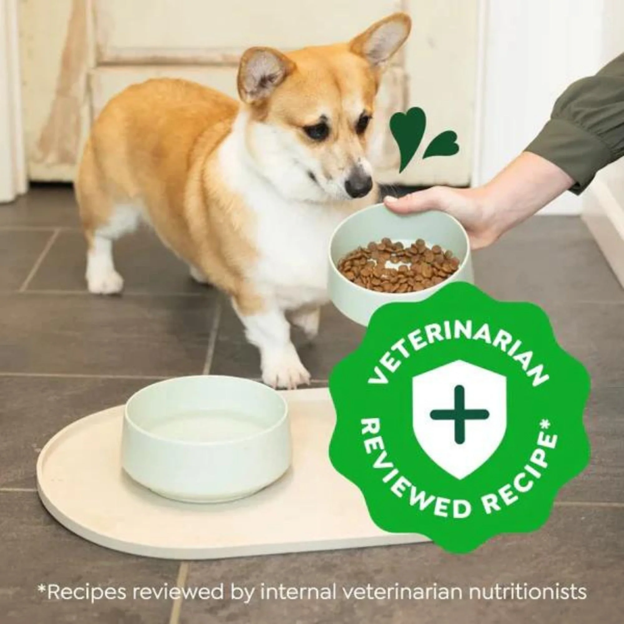 Greenies Smart Essentials Small Breed Dry Dog Food Chicken Rice, 1ea/27 lb - Image 4