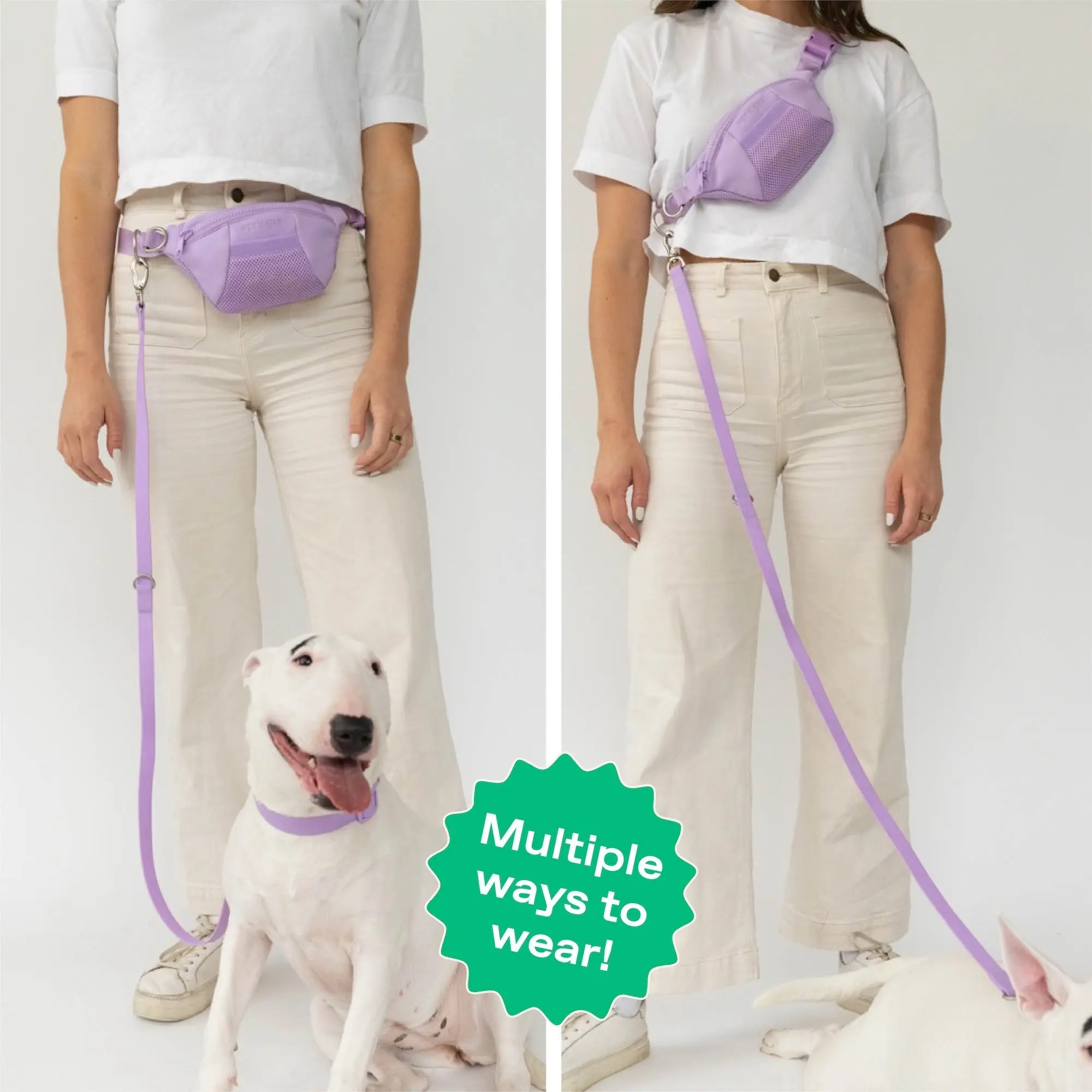 Original Hands-Free Neoprene Dog Walking Bag with 4ft Leash - Image 2
