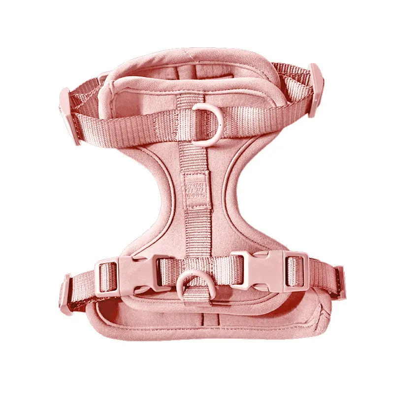 Harness - Image 13