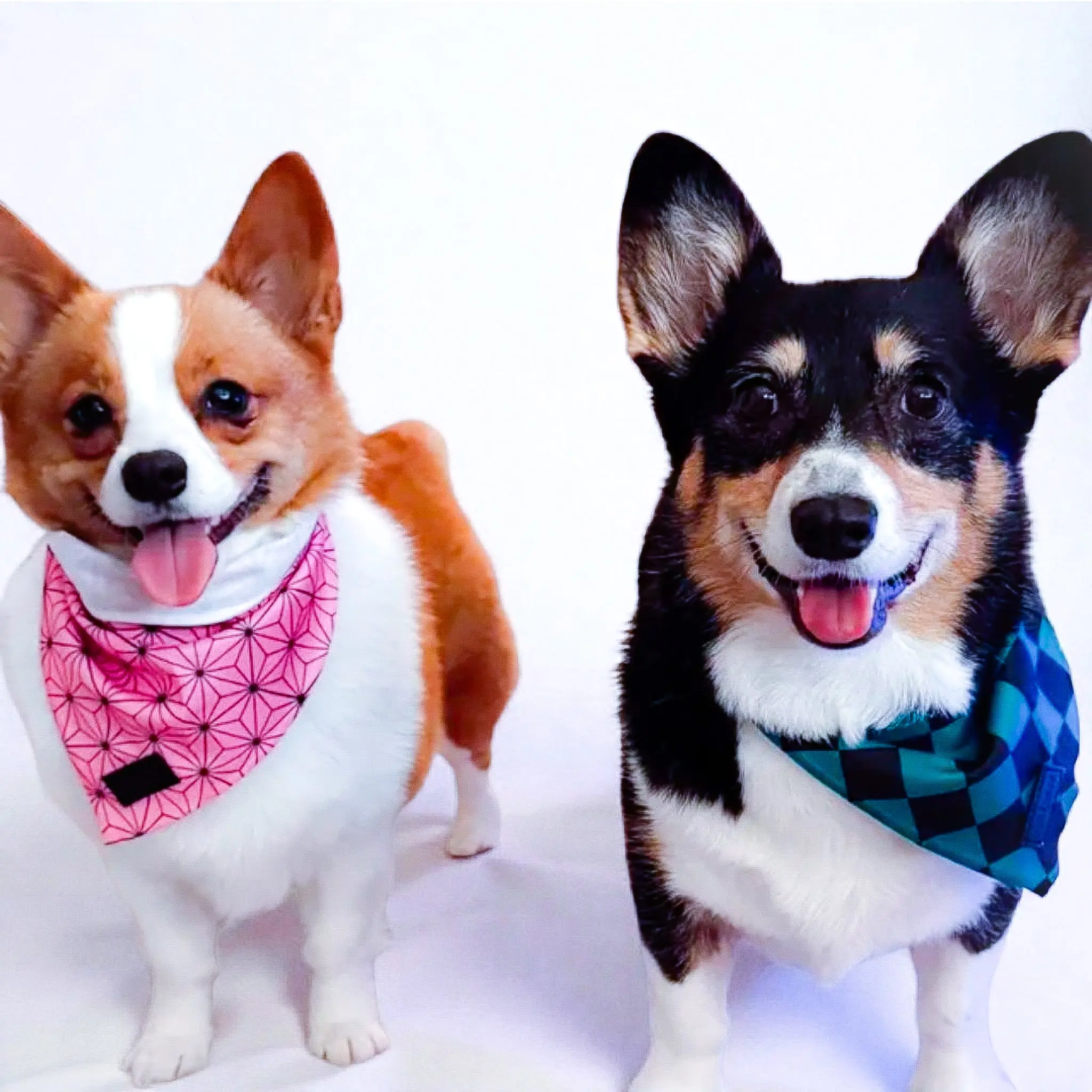 Ichimatsu Checker Cooling Bandana - Image 3