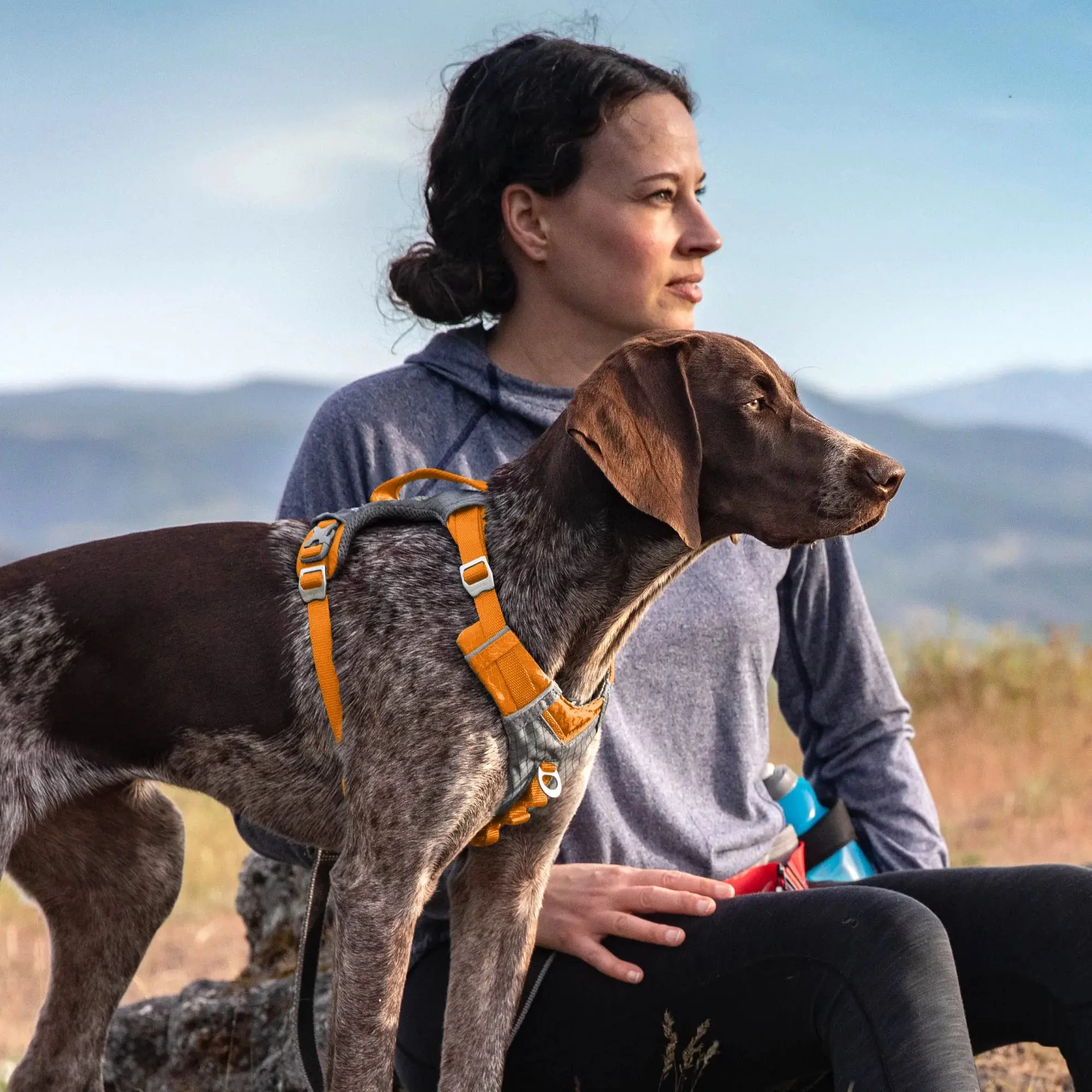 Journey Air Dog Harness, Vest Harnesses for Dogs, Pet Hiking Harness for Running & Walking, Reflective, Padded, Includes Control Handle, No Pull Front Clip (Orange, Small) - Image 10