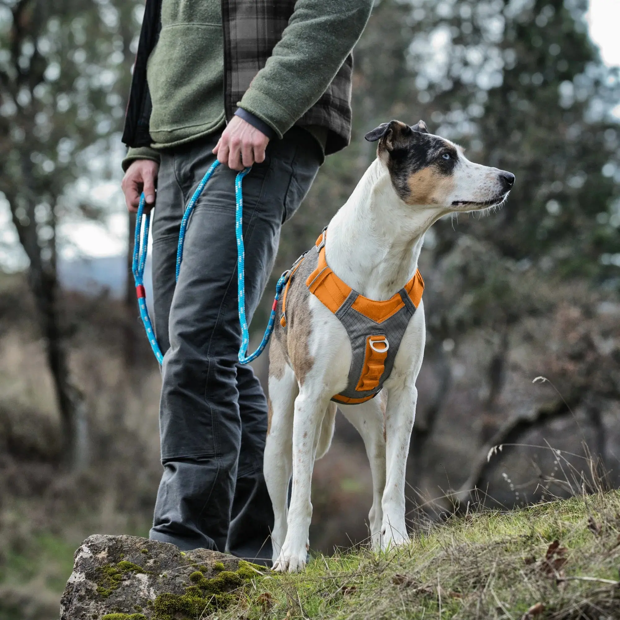 Journey Air Dog Harness, Vest Harnesses for Dogs, Pet Hiking Harness for Running & Walking, Reflective, Padded, Includes Control Handle, No Pull Front Clip (Orange, Small) - Image 8