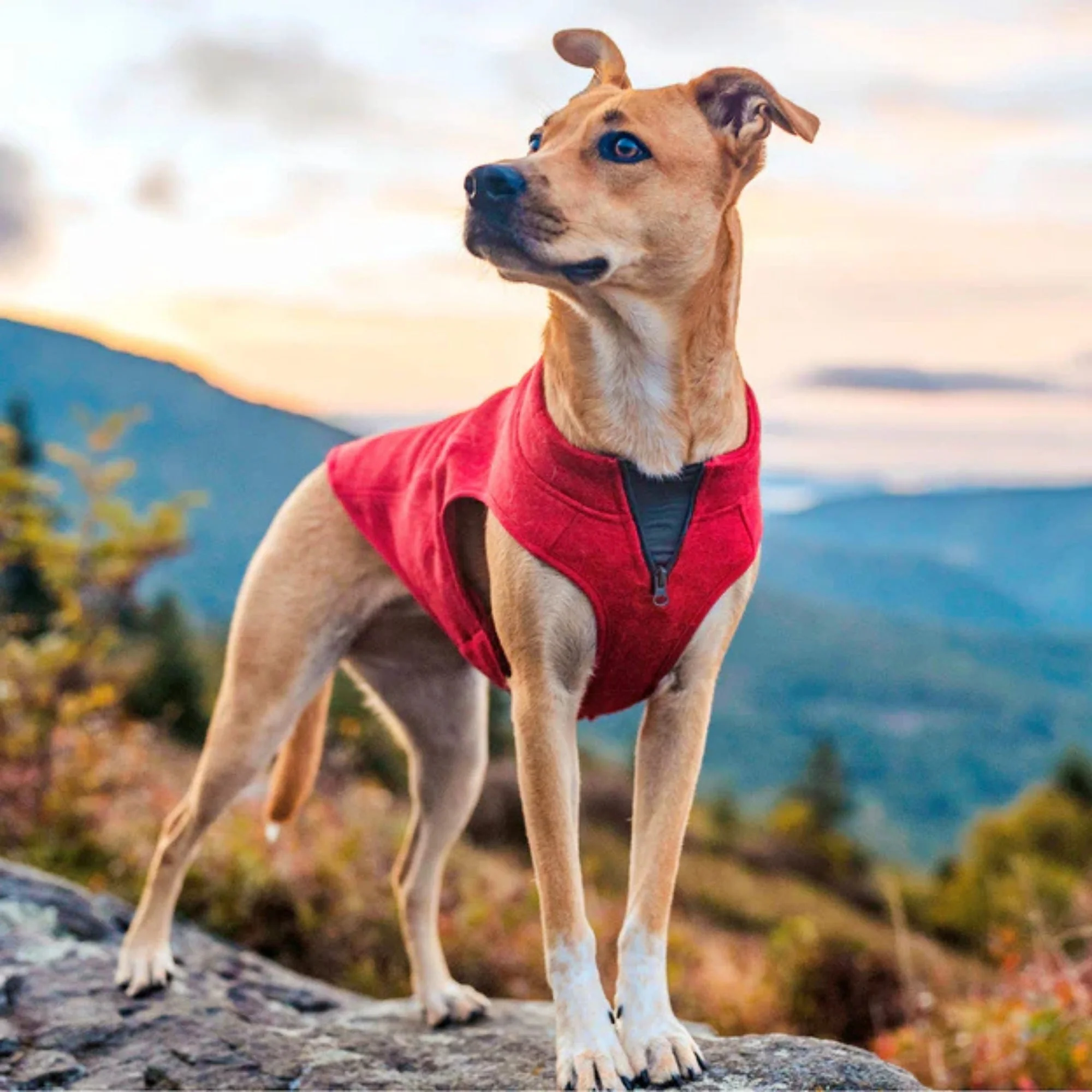 Kurgo Dog Core Sweater Heather Red Extra Small - Image 3