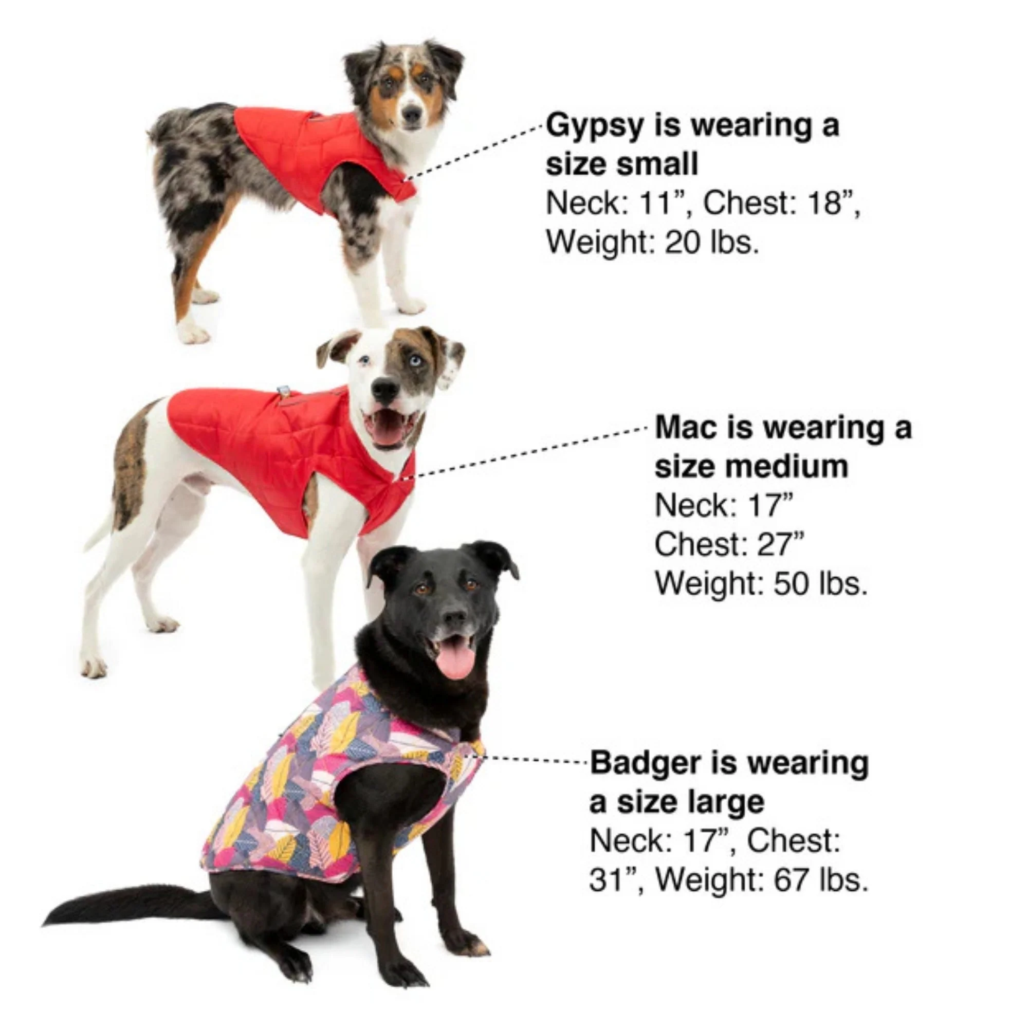 Kurgo Dog Jacket Loft Blue/Orange Large - Image 2