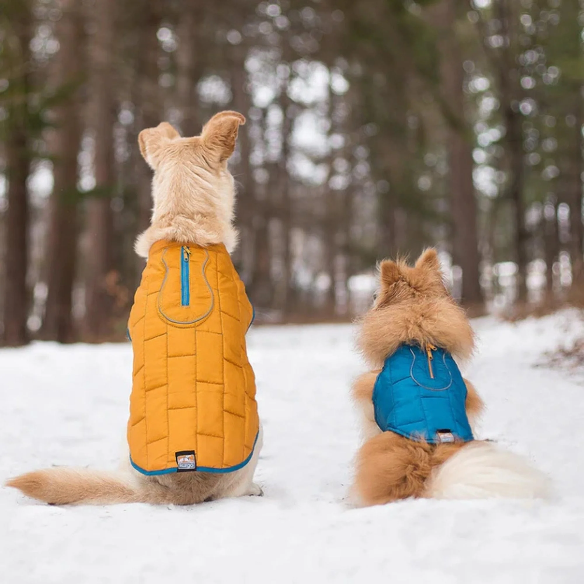 Kurgo Dog Jacket Loft Blue/Orange Small - Image 2