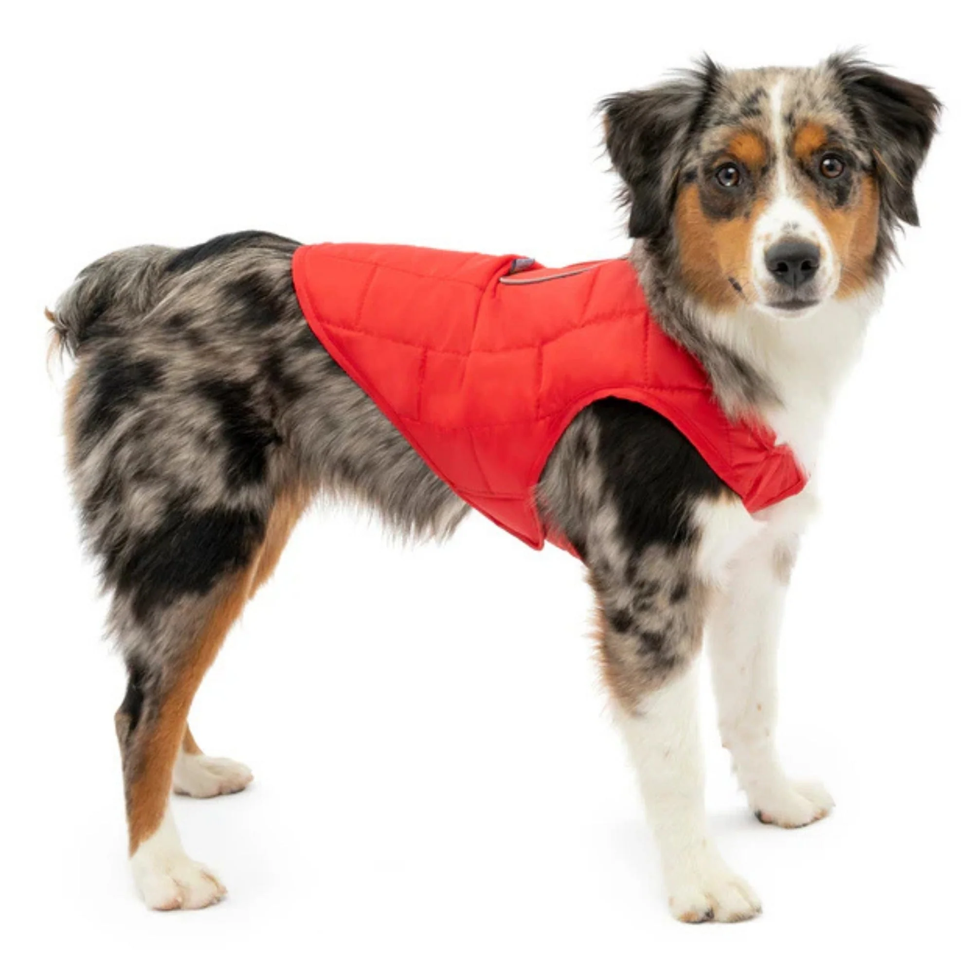 Kurgo Dog Loft Jacket Red Medium - Image 2