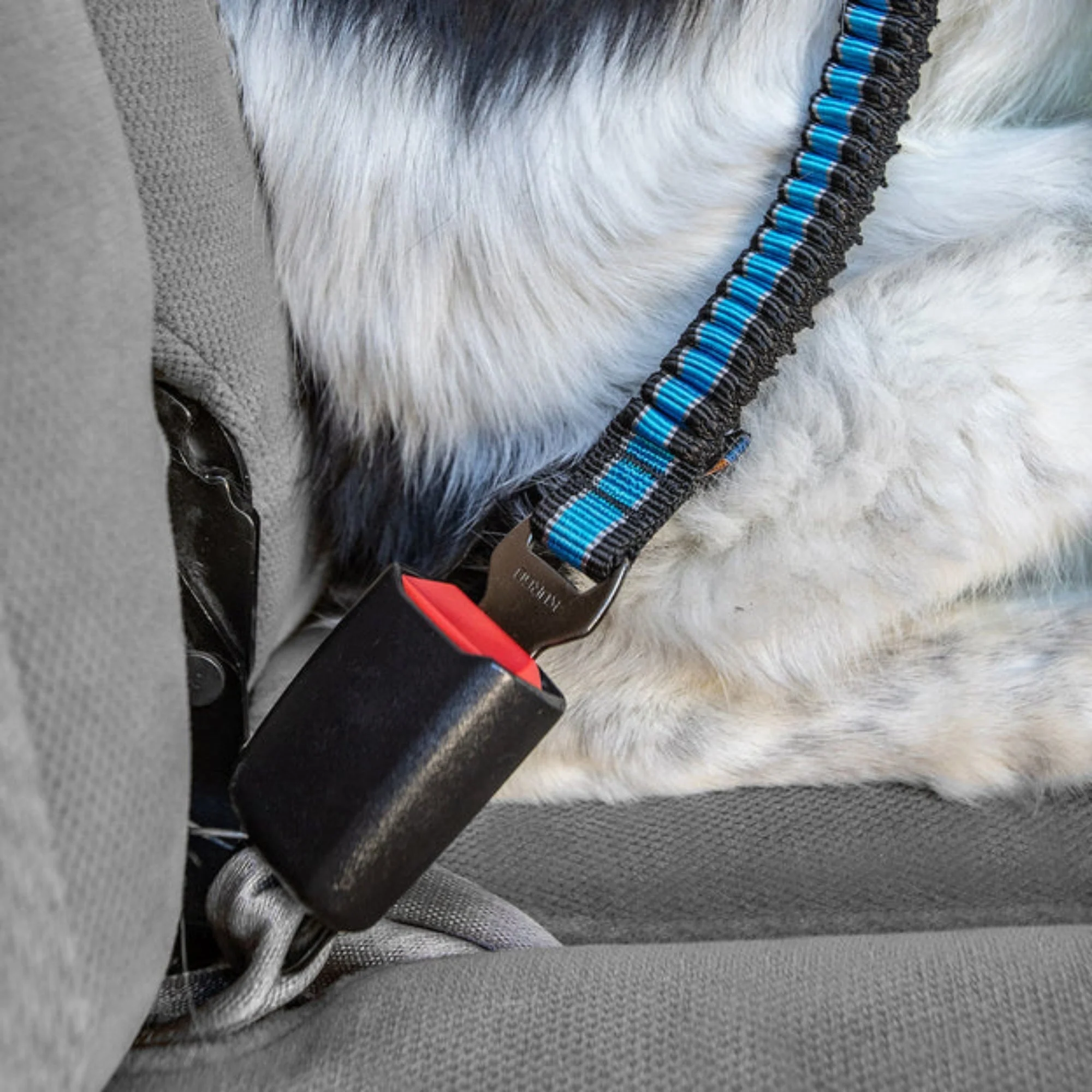 Kurgo Dog Seat Belt Bungee Tether - Image 4