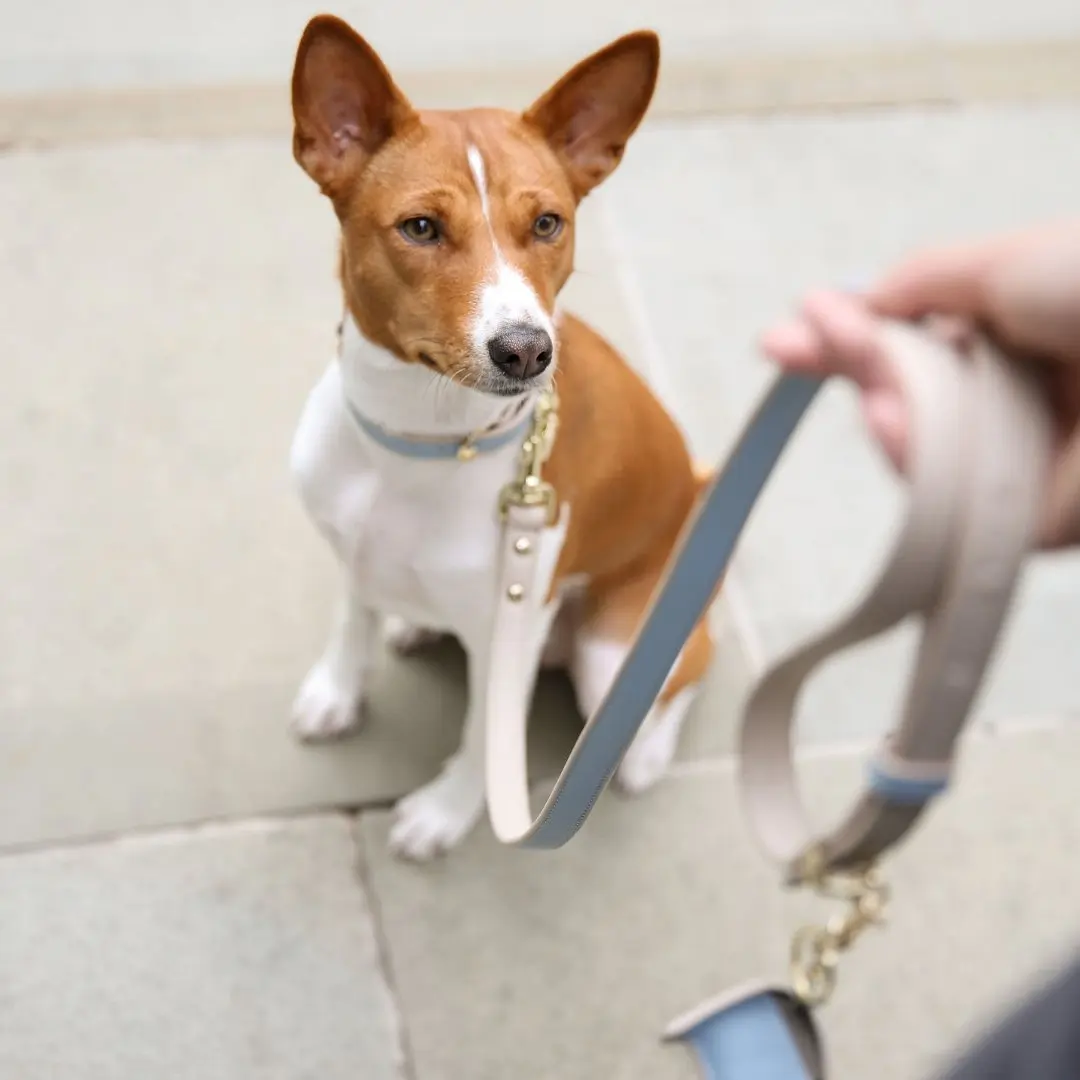 Leash 4ft - Vegan Leather - Image 34