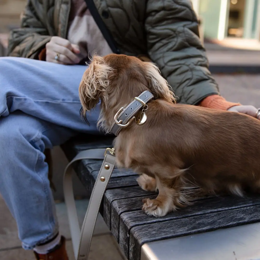 Leash 4ft - Vegan Leather - London - Image 3