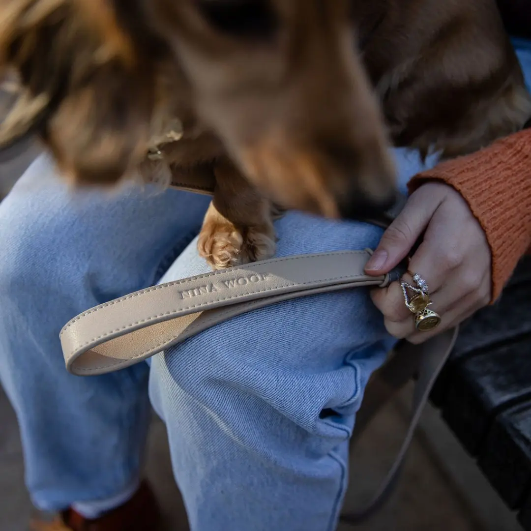 Leash 4ft - Vegan Leather - London - Image 5