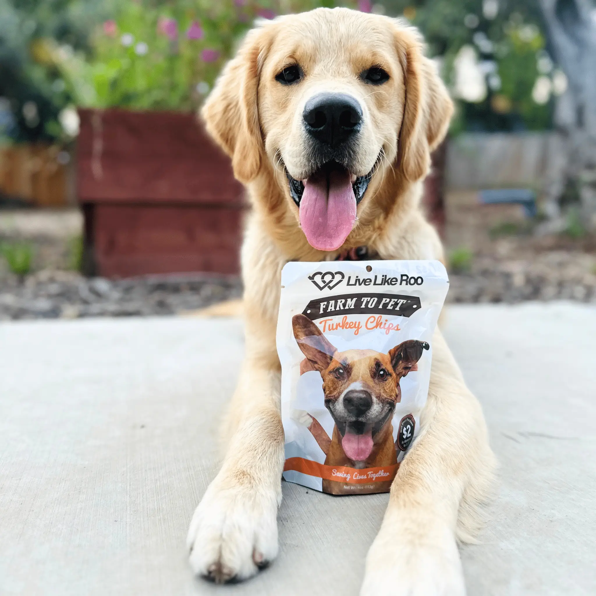 Live Like Roo Turkey Chips for Dogs | Dog Treats That Give Back - Image 4