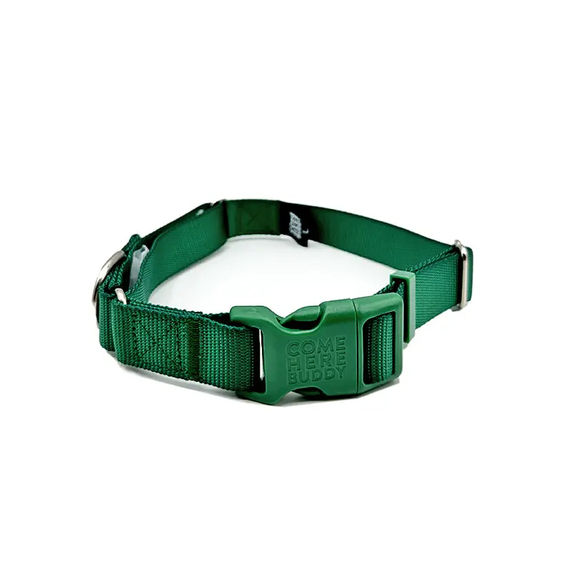 Martingale Dog Collar - Image 11