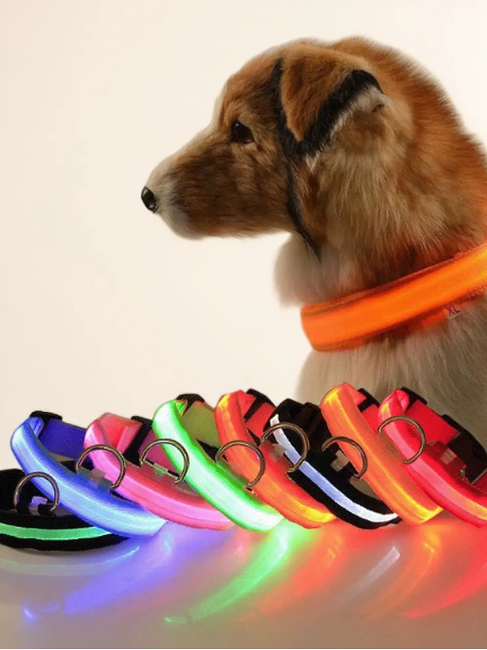 Milou & Lumi LED Glowing Pet Collar - Rainbow - Image 2