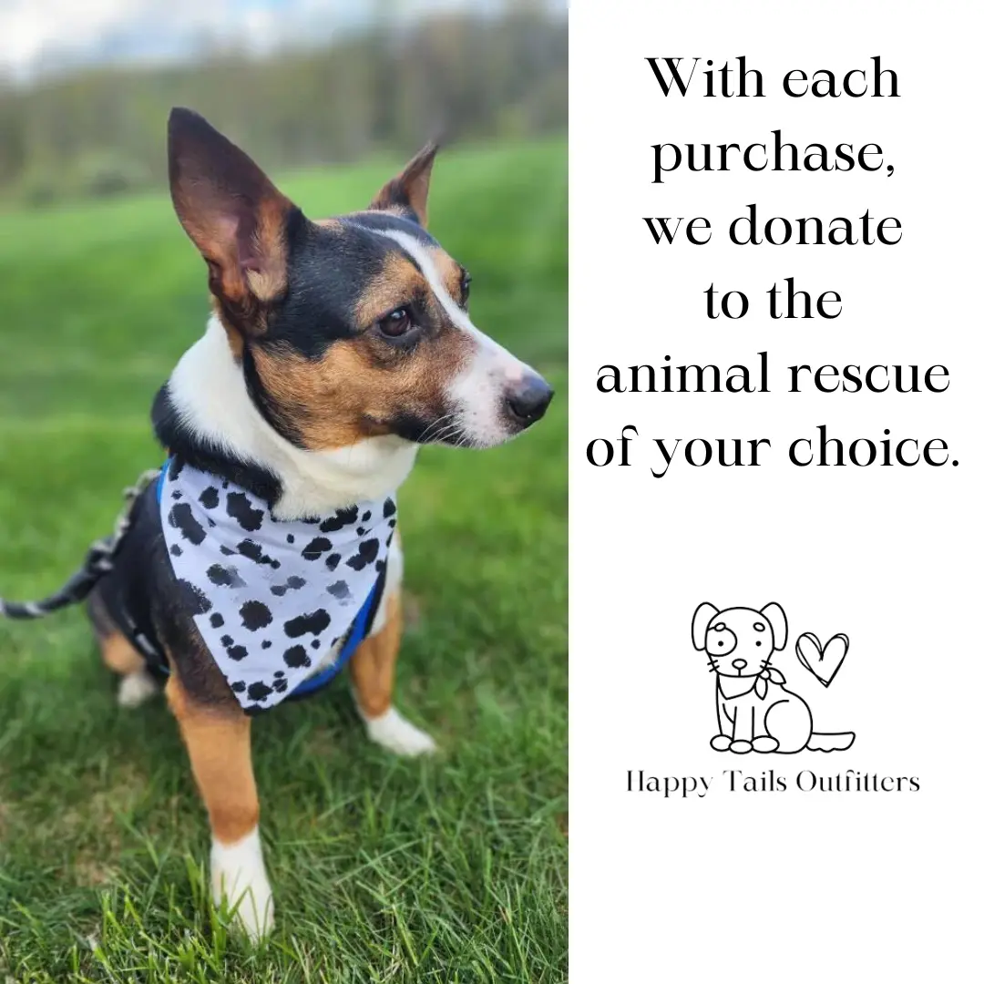 My Humans Are Getting Married Dog Bandana New Arrival - Image 8