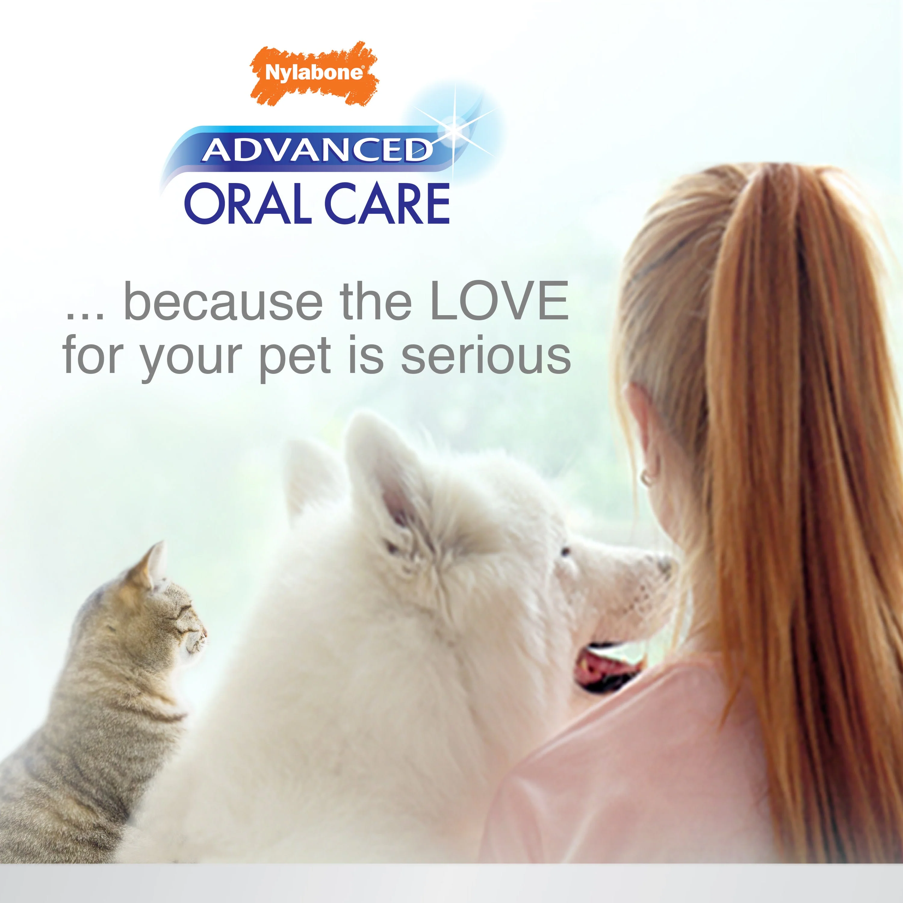 Nylabone Advanced Oral Care Cat Dental Kit Original, 1ea/2.5 oz 3 ct - Image 8