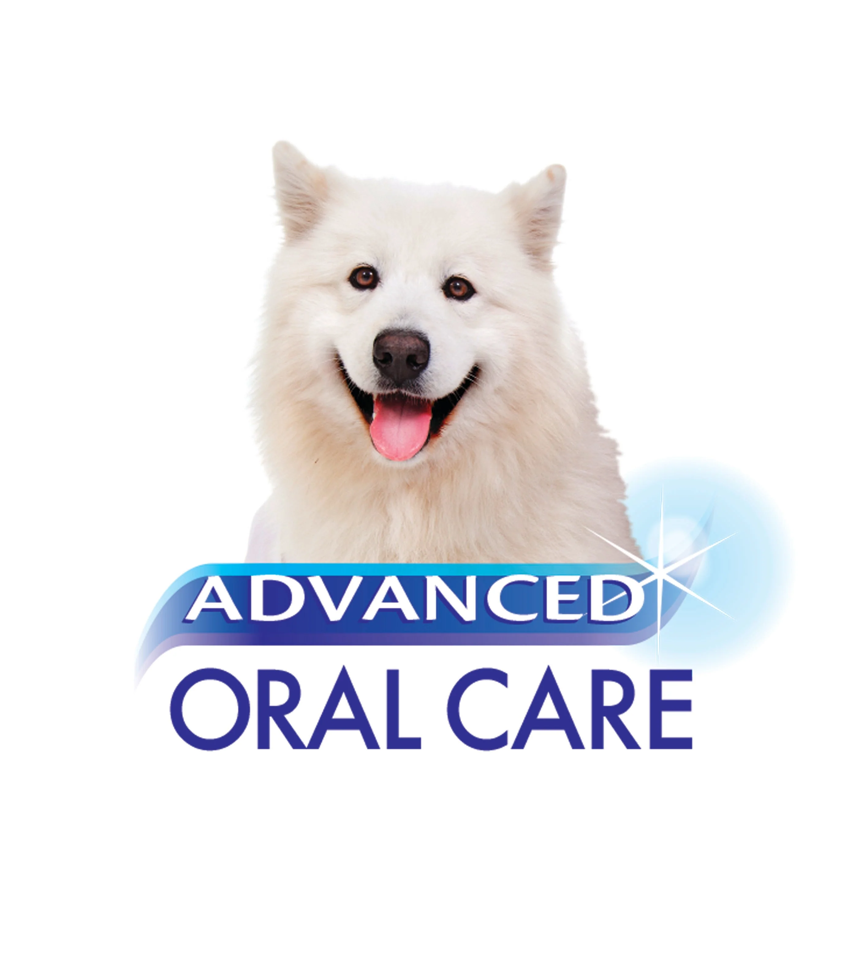 Nylabone Advanced Oral Care Natural Toothpaste Peanut Flavor, 1ea/2.5 oz - Image 5