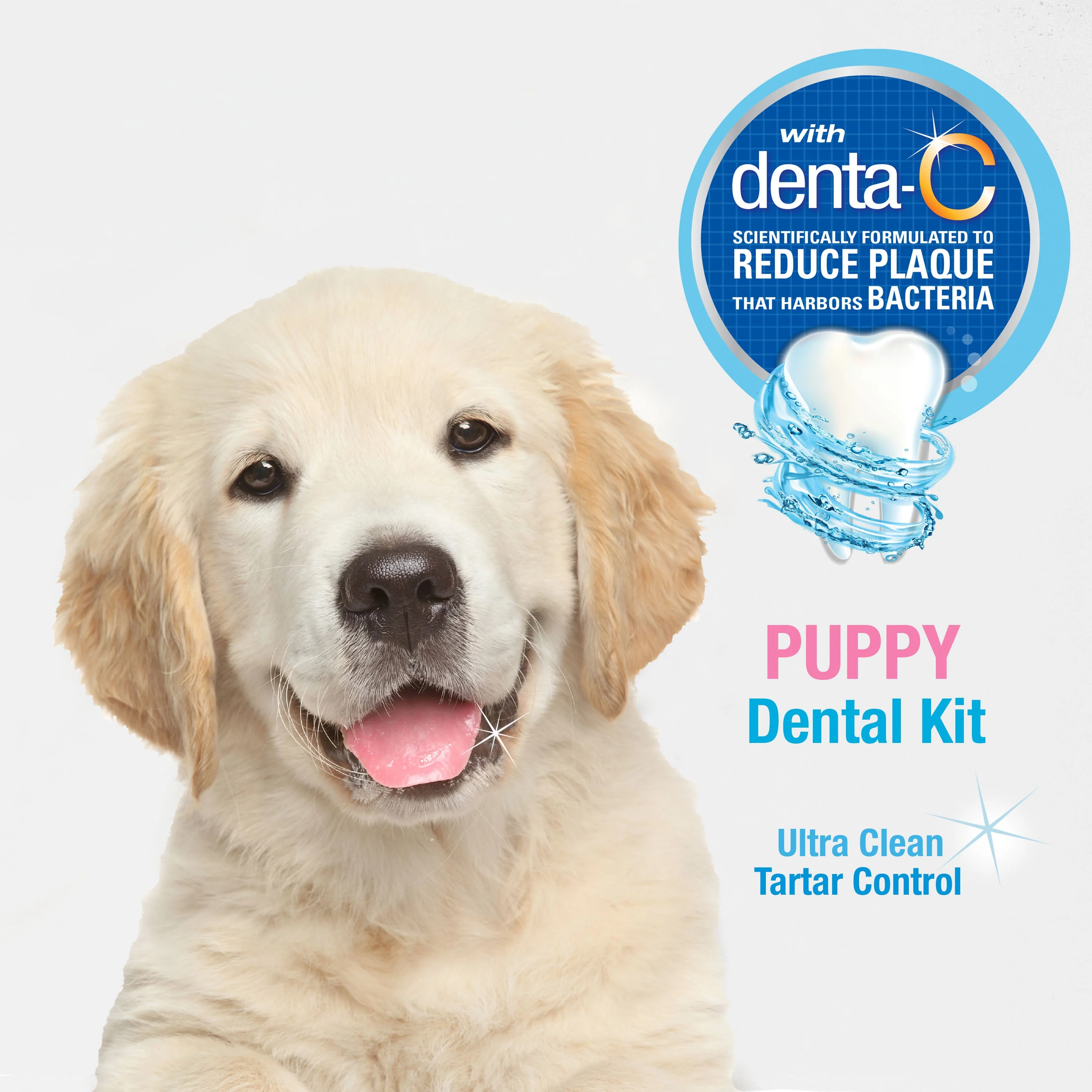 Nylabone Advanced Oral Care Puppy Dental Kit Original, 1ea/2.5 oz 3 ct - Image 4