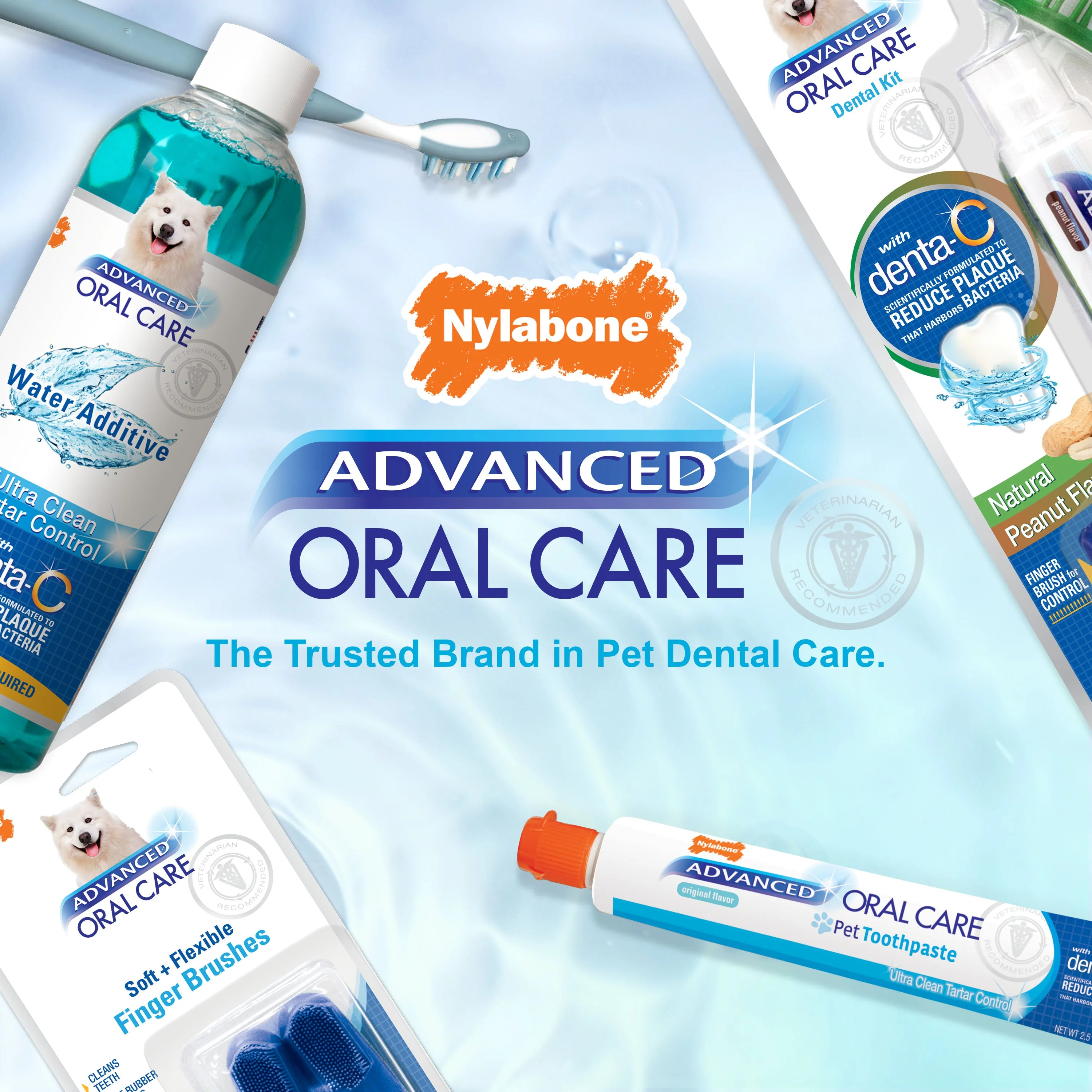 Nylabone Advanced Oral Care Tartar Control Dog Toothpaste Original, 1ea/2.5 oz 1 ct - Image 7