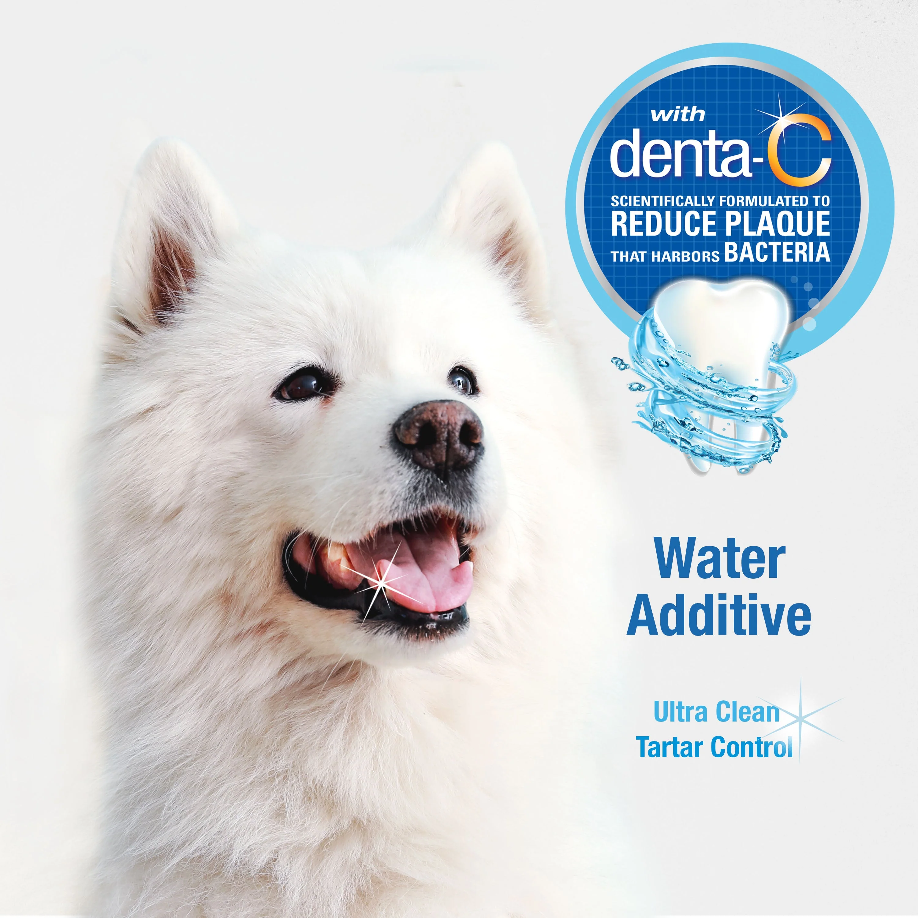 Nylabone Advanced Oral Care Water Additive for Dogs Original, 1ea/32 oz 1 ct - Image 4