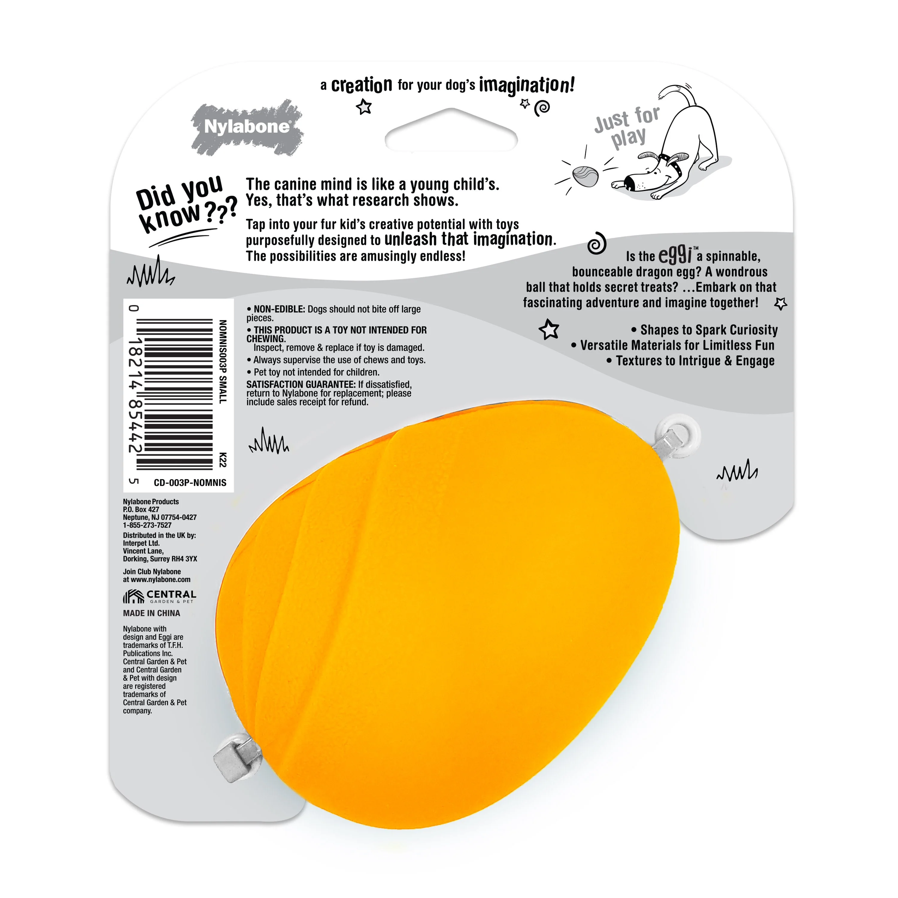 Nylabone Creative Play Eggi Dog Treat Toy Orange, 1ea/SMall/Regular Up To 25 Ibs. 1 ct - Image 10