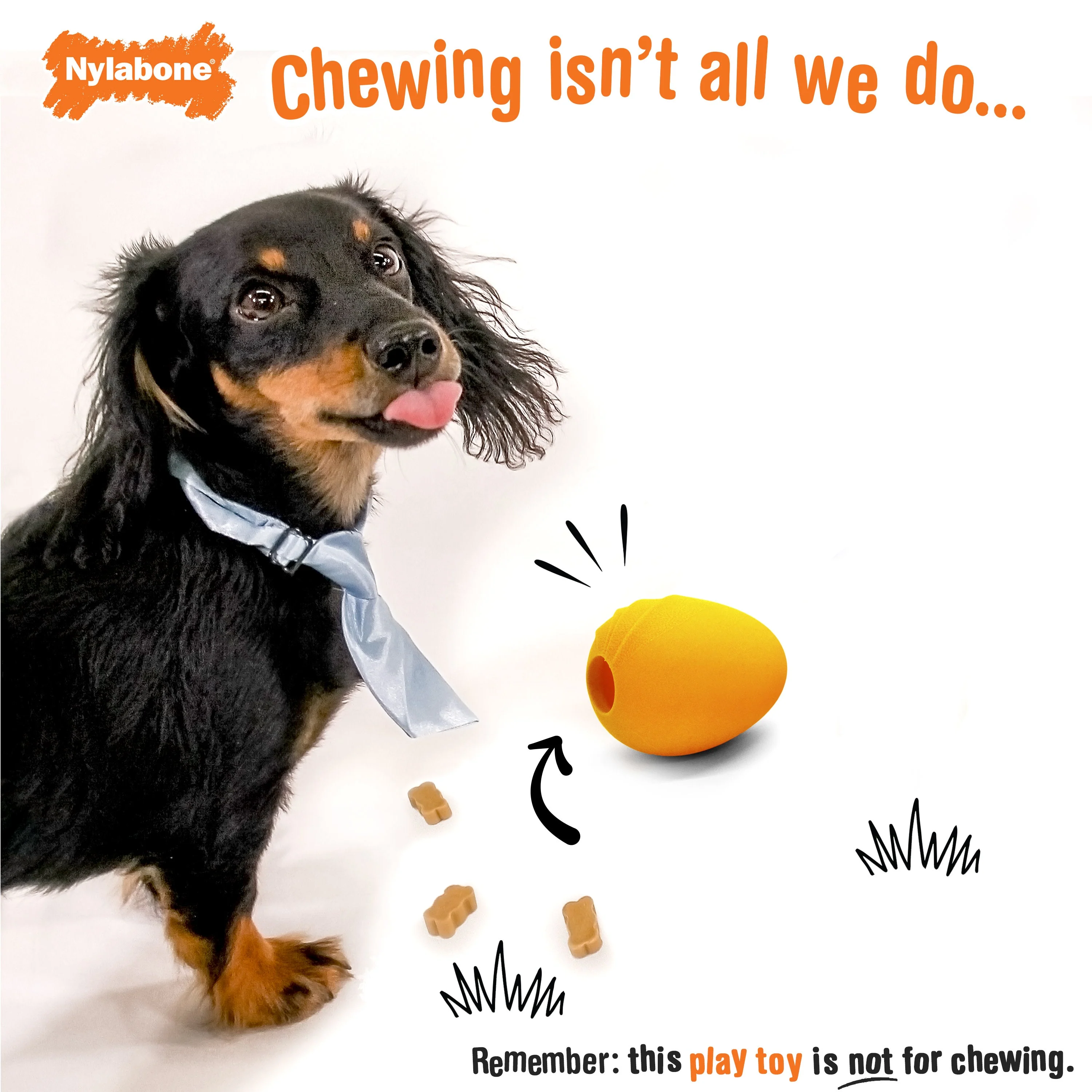 Nylabone Creative Play Eggi Dog Treat Toy Orange, 1ea/SMall/Regular Up To 25 Ibs. 1 ct - Image 2