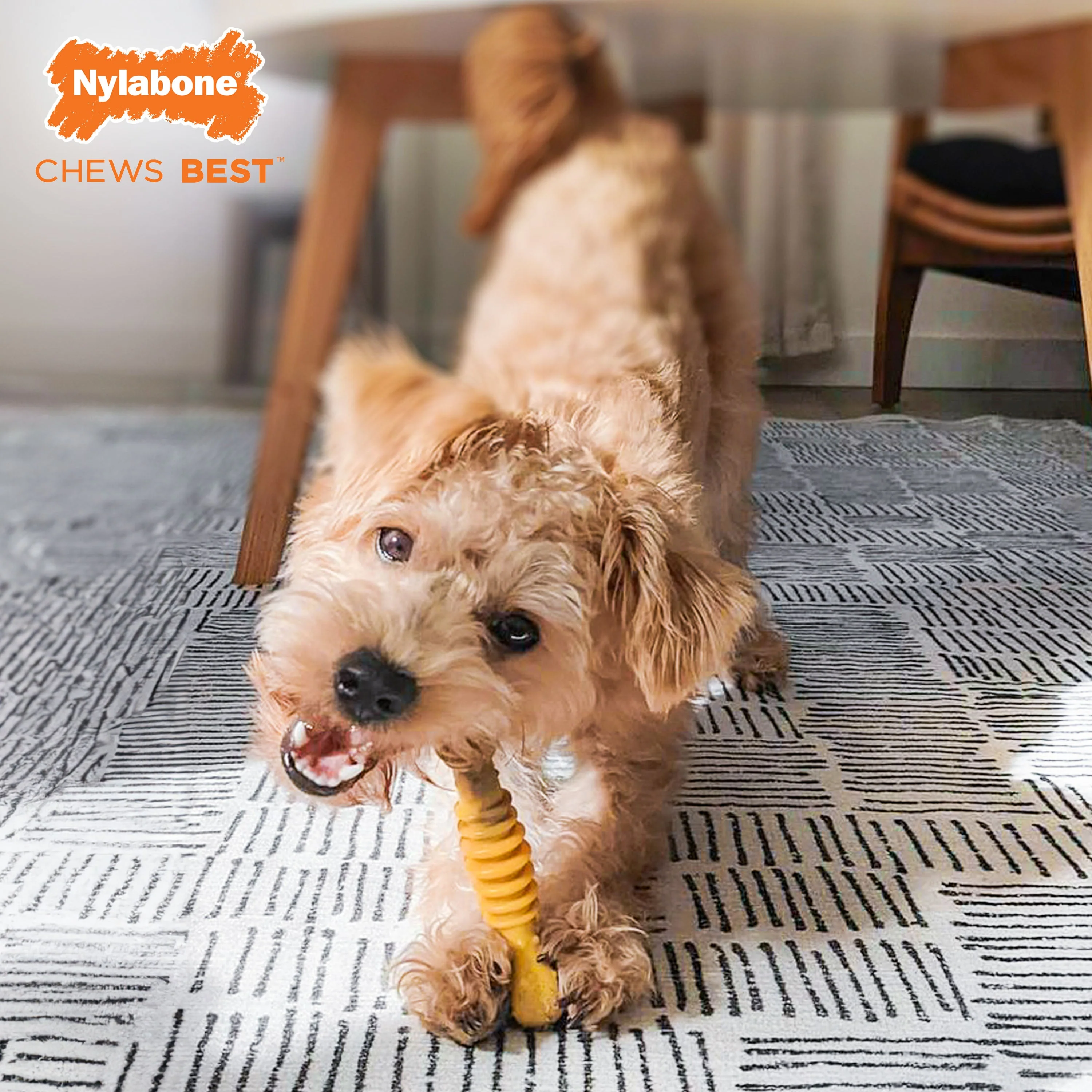 Nylabone Flavor Frenzy Power Chew Durable Dog Chew Toy Philly Cheesesteak 1ea/SMall/Regular - Up To 25 Ibs. - Image 2