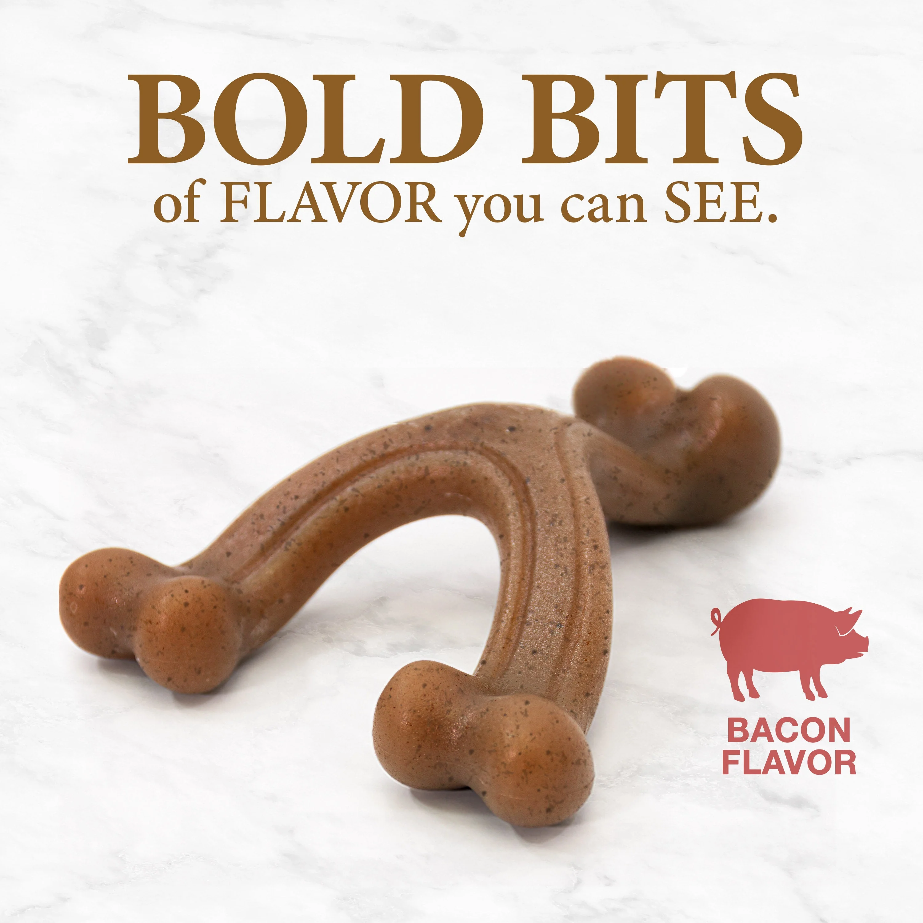 Nylabone Gourmet Style Strong Chew Wishbone Dog Chew Toy Bacon, 1ea/SMall/Regular  Up To 25 Ibs. 1 ct - Image 6