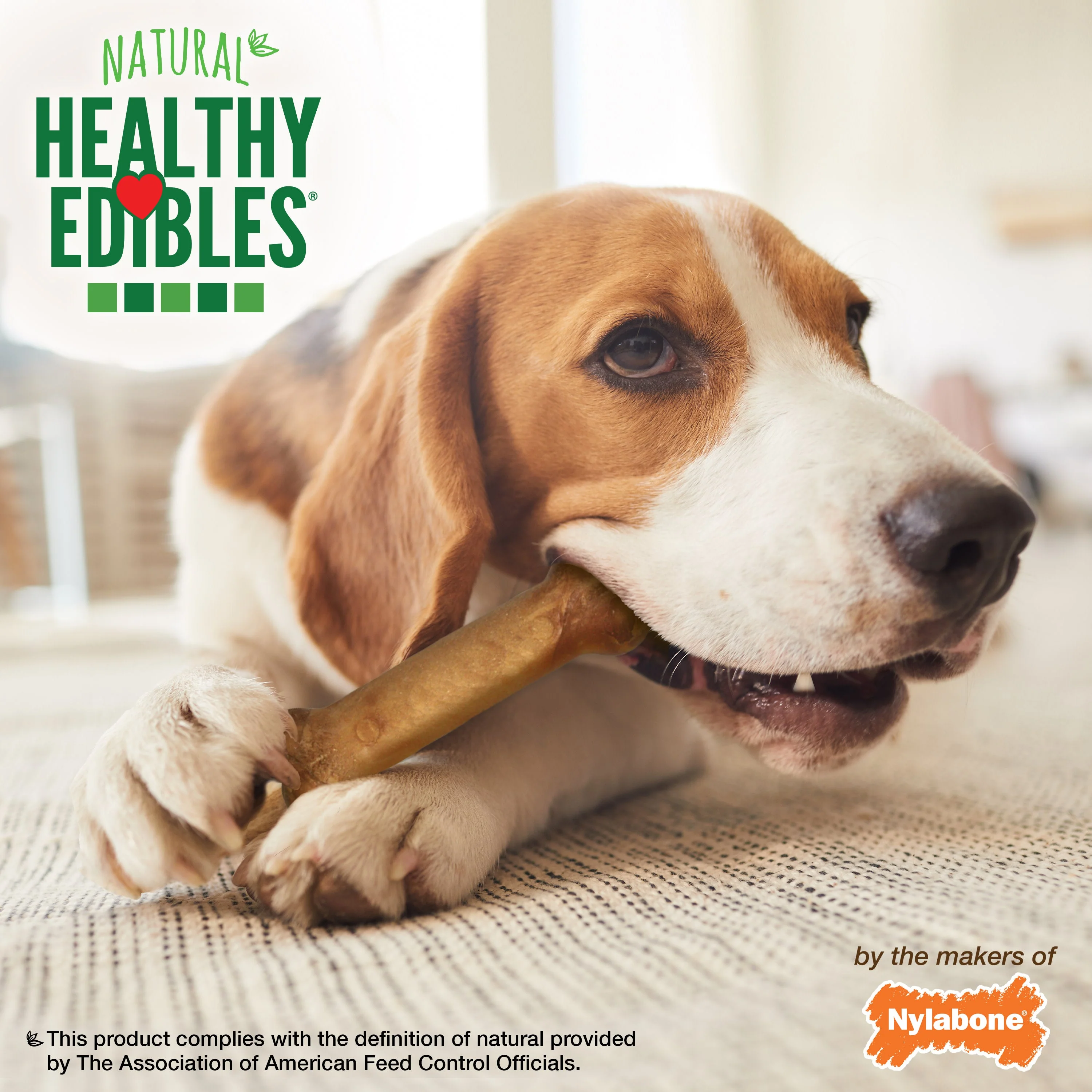 Nylabone Healthy Edibles AllNatural Long Lasting Chew Treats Bacon, 1ea/Medium/Wolf Up To 35 Lbs. 7 ct - Image 4