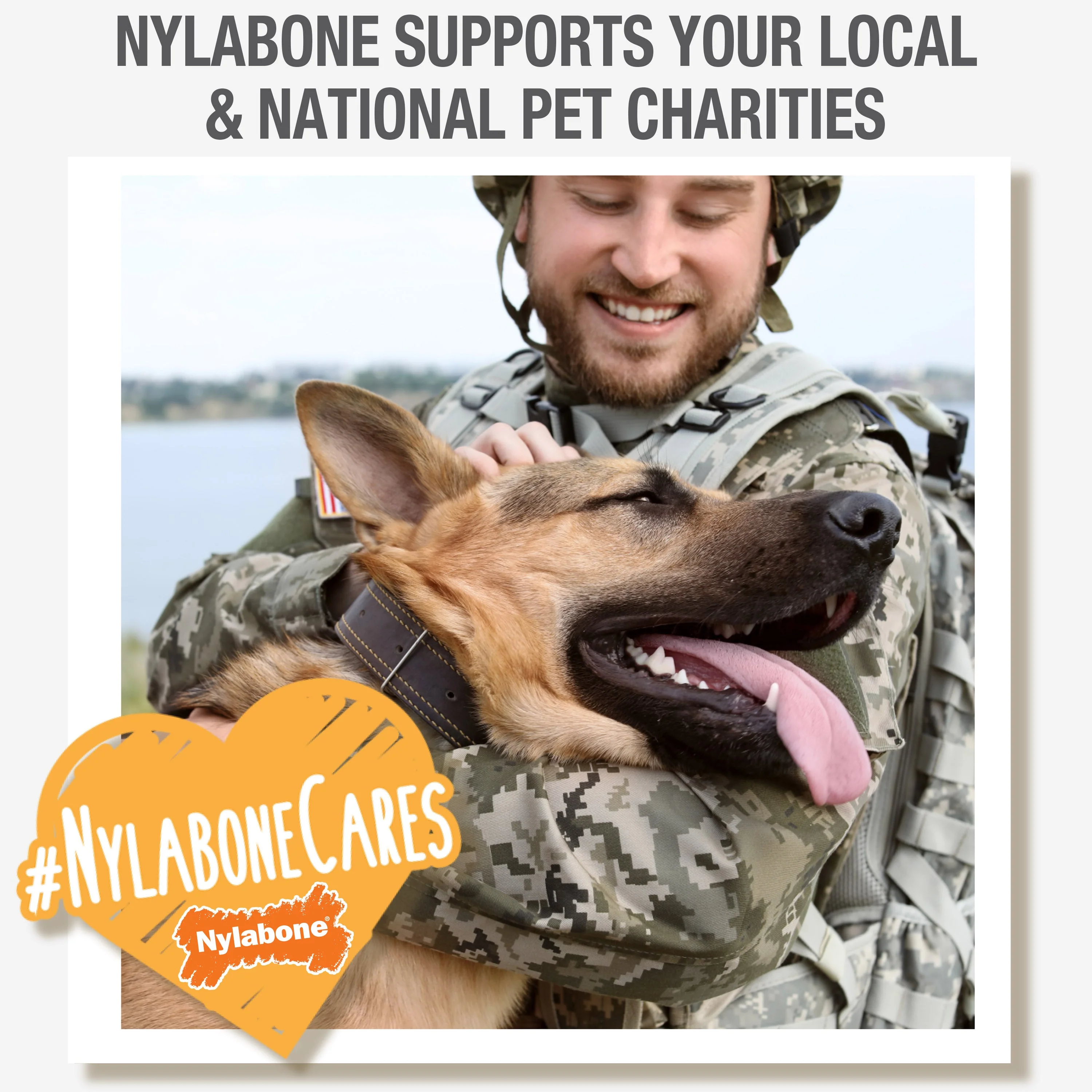 Nylabone Healthy Edibles AllNatural Long Lasting Chew Treats 1 Count, Peanut Butter, 1ea/XL/Souper  50 Lbs. 1 ct - Image 8