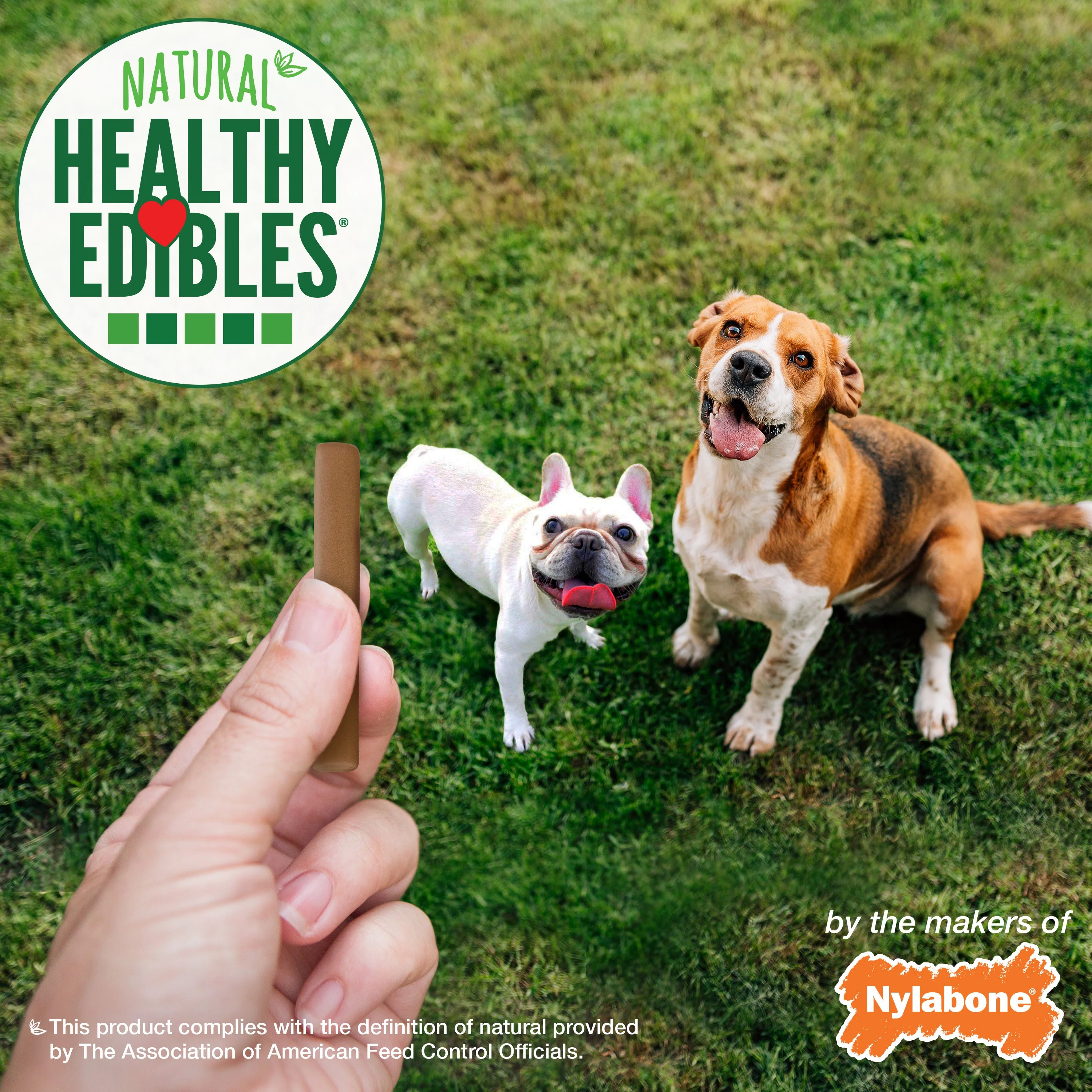 Nylabone Healthy Edibles Chewy Dog Treat Sticks Beef 1ea/12 oz - Image 6